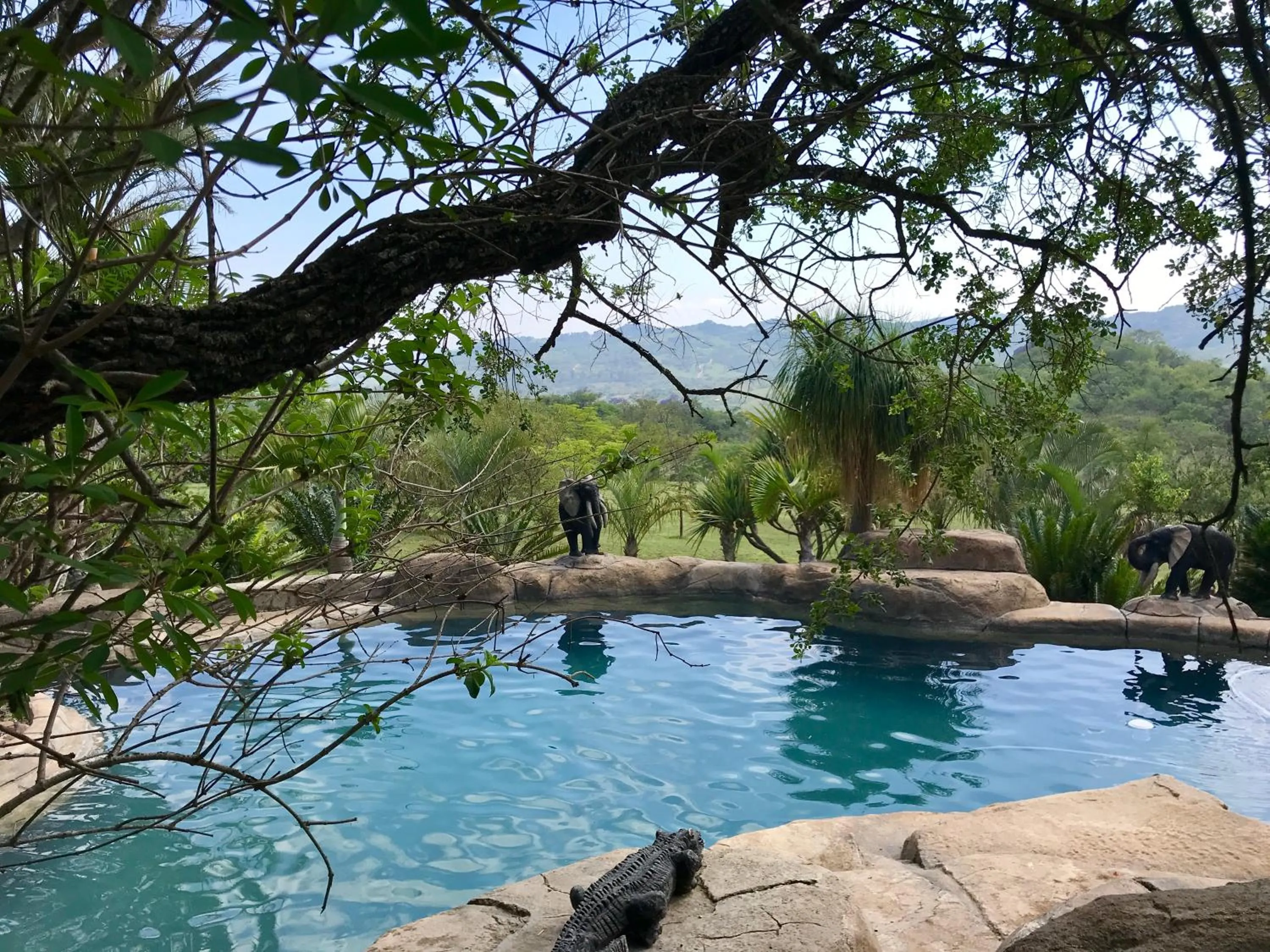 View (from property/room) in Leopards Ledge