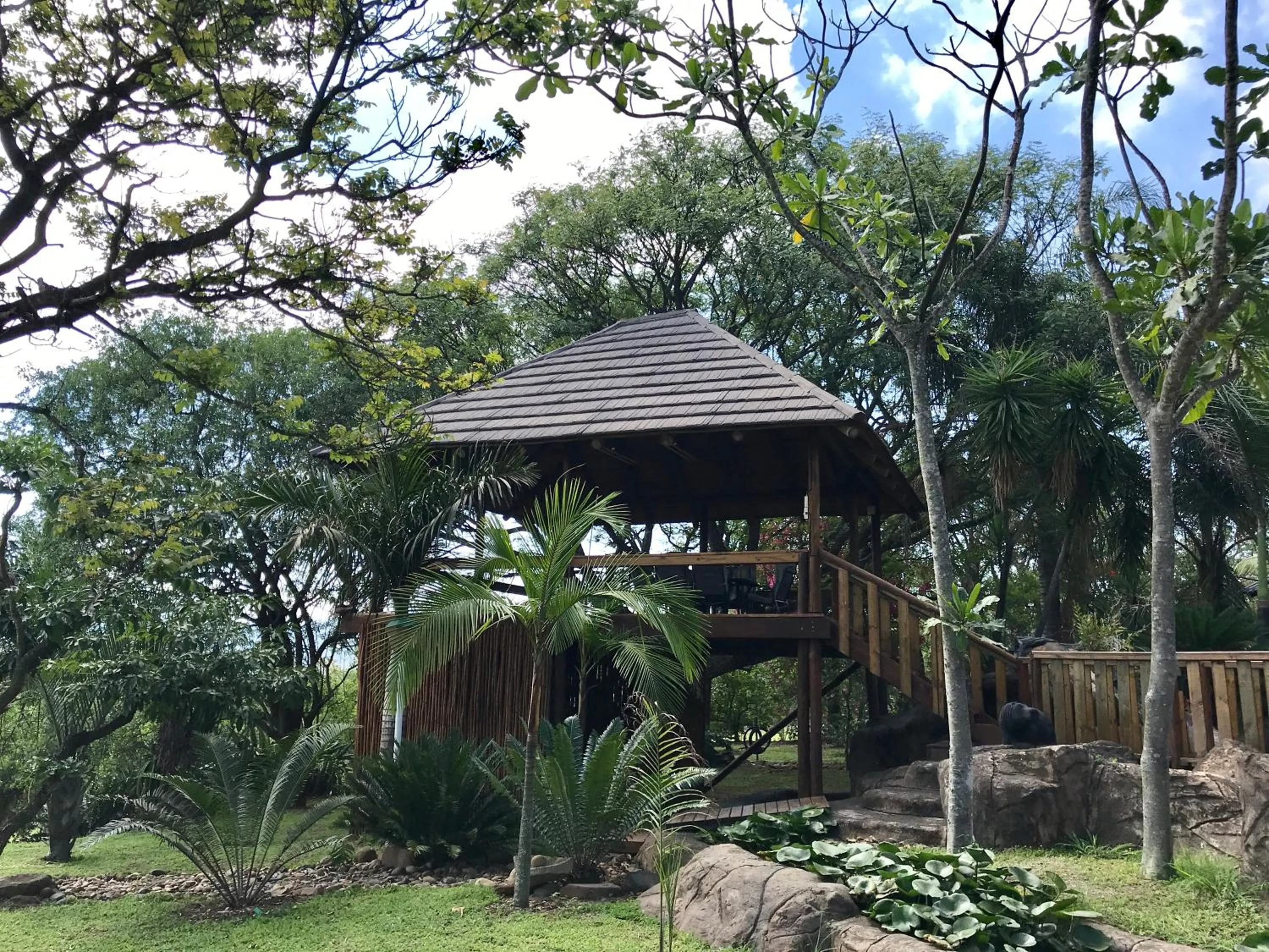 View (from property/room) in Leopards Ledge