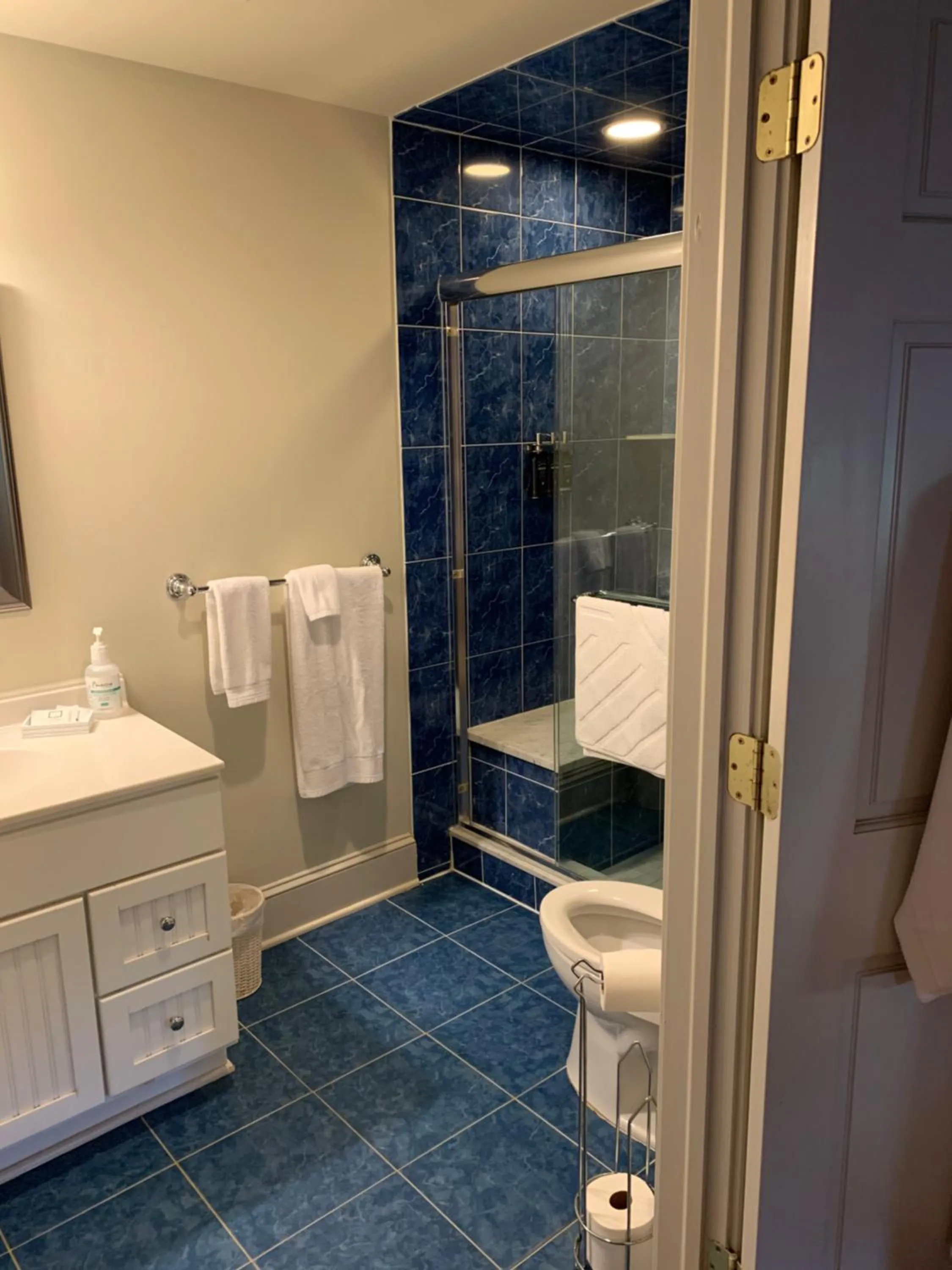 Bathroom in The Lily Inn - Burlington