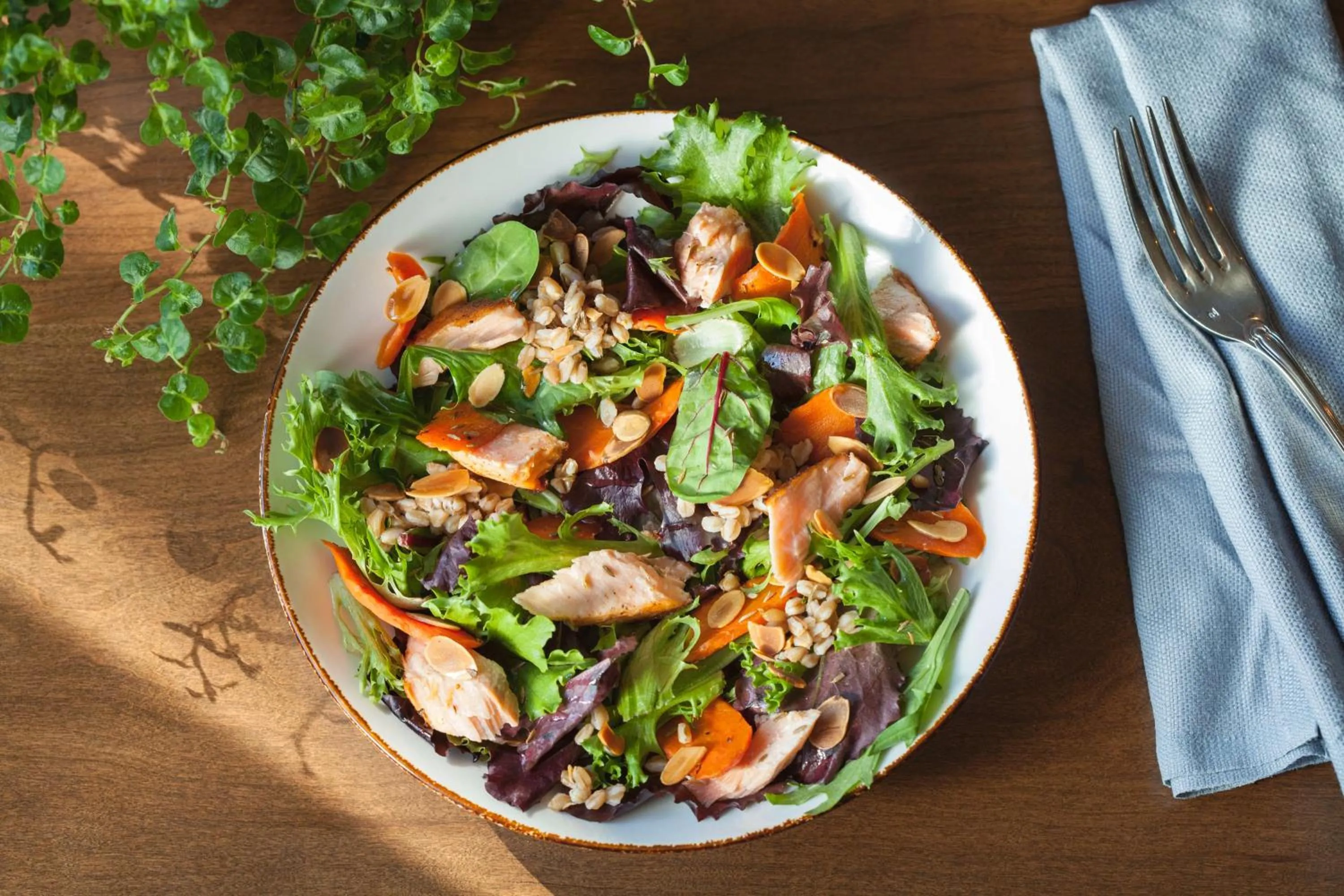 Restaurant/places to eat in Graduate by Hilton Charlottesville