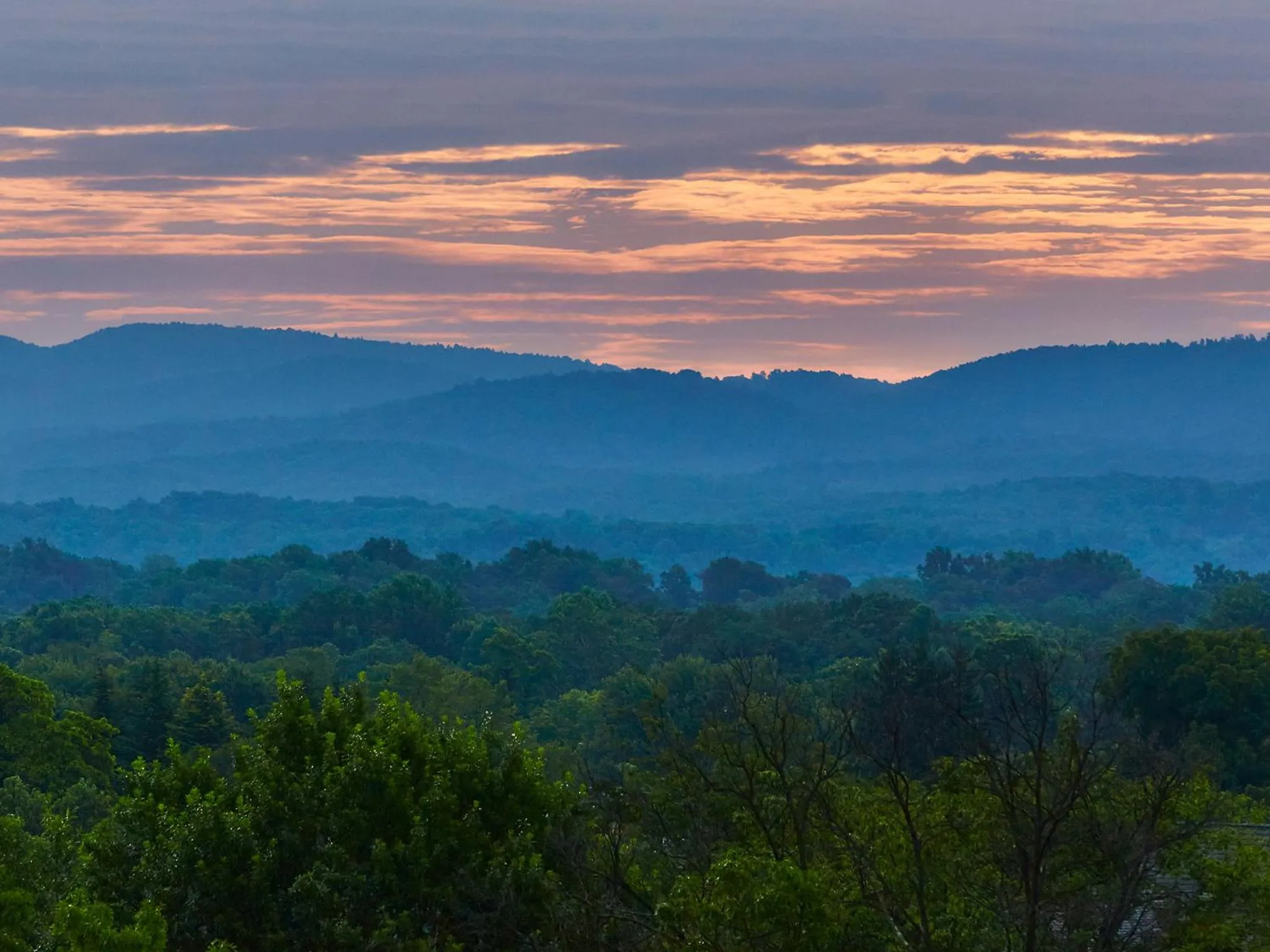 Mountain view in Graduate by Hilton Charlottesville