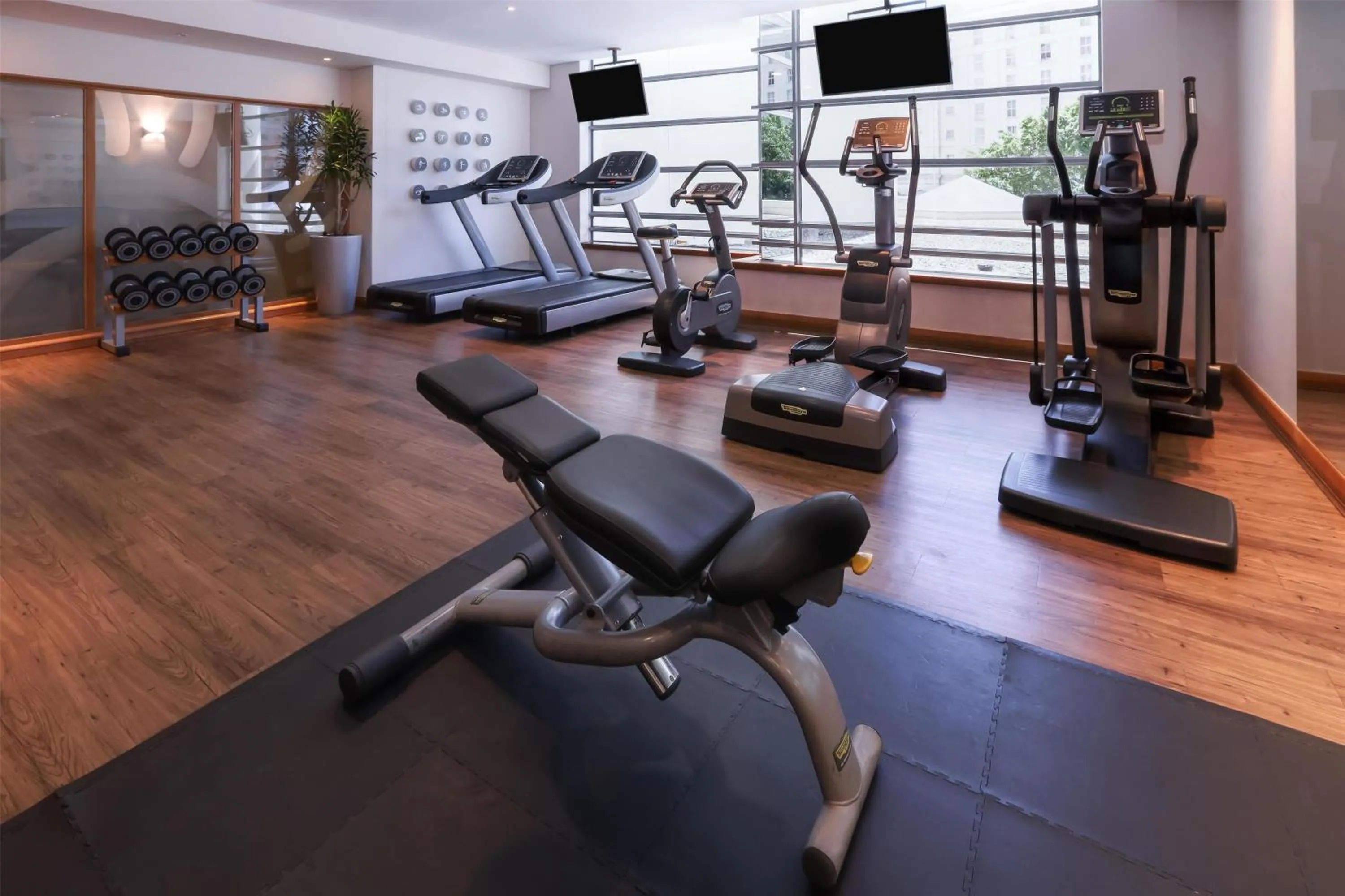 Fitness centre/facilities in Southern Sun Waterfront Cape Town