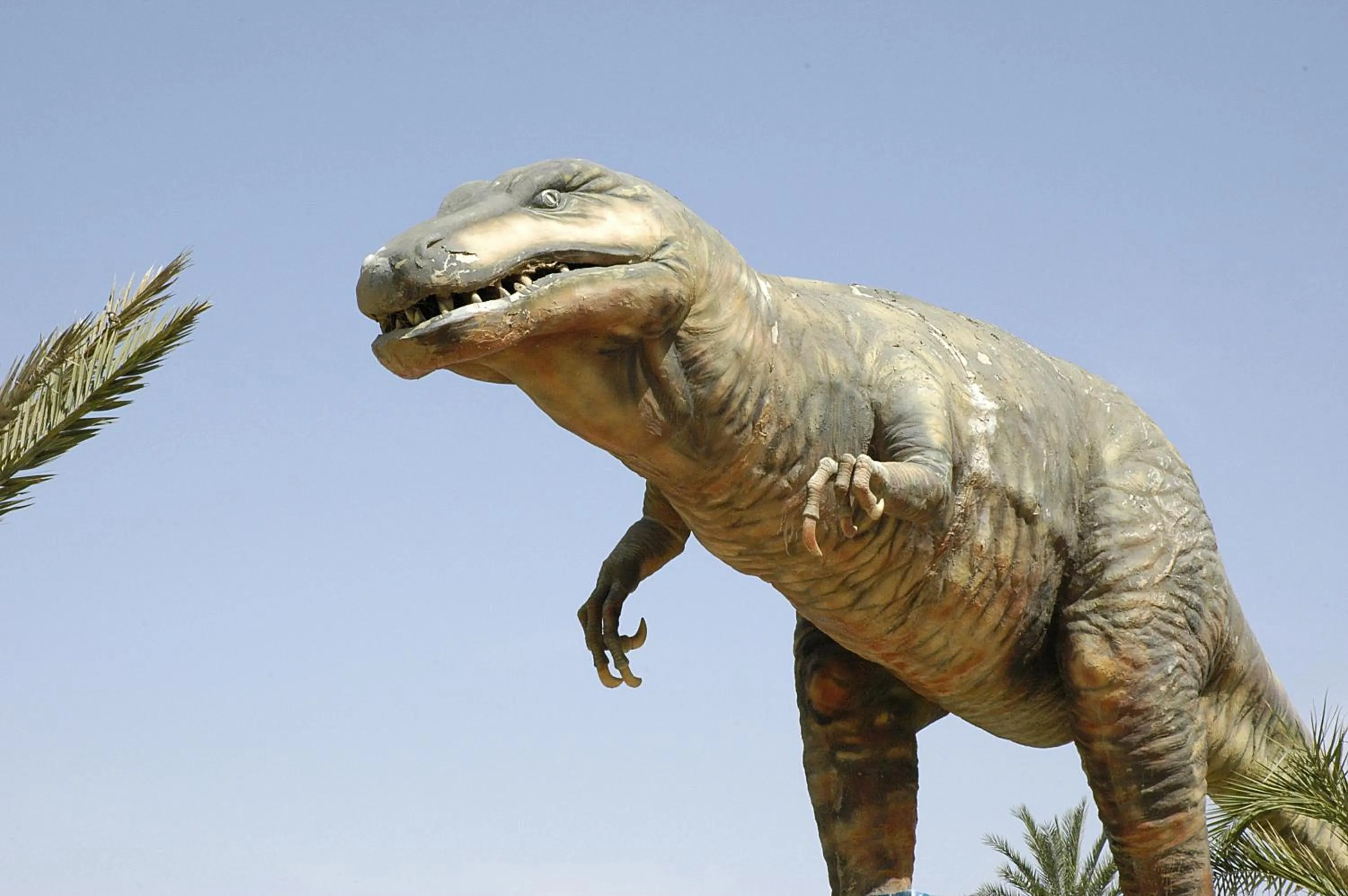 Entertainment in El Mouradi Tozeur