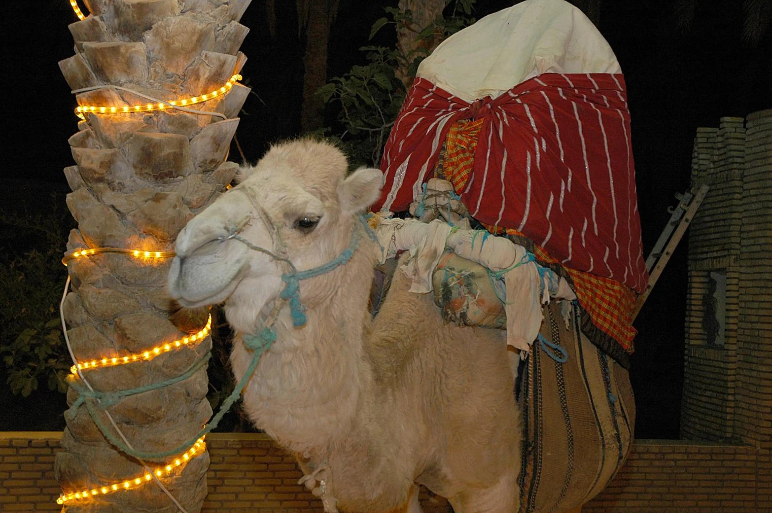 Other in El Mouradi Tozeur