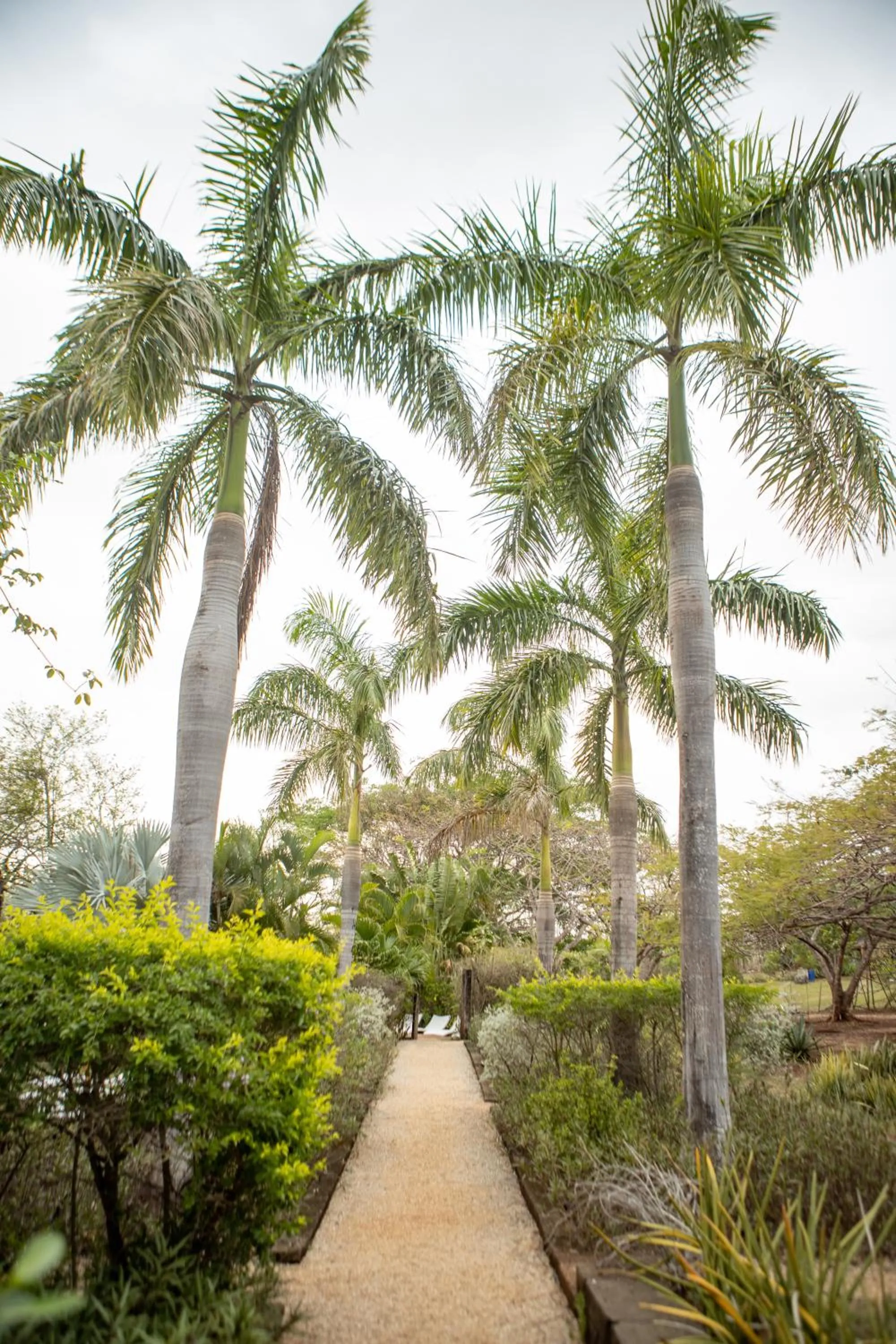 Garden in Latica Lodge