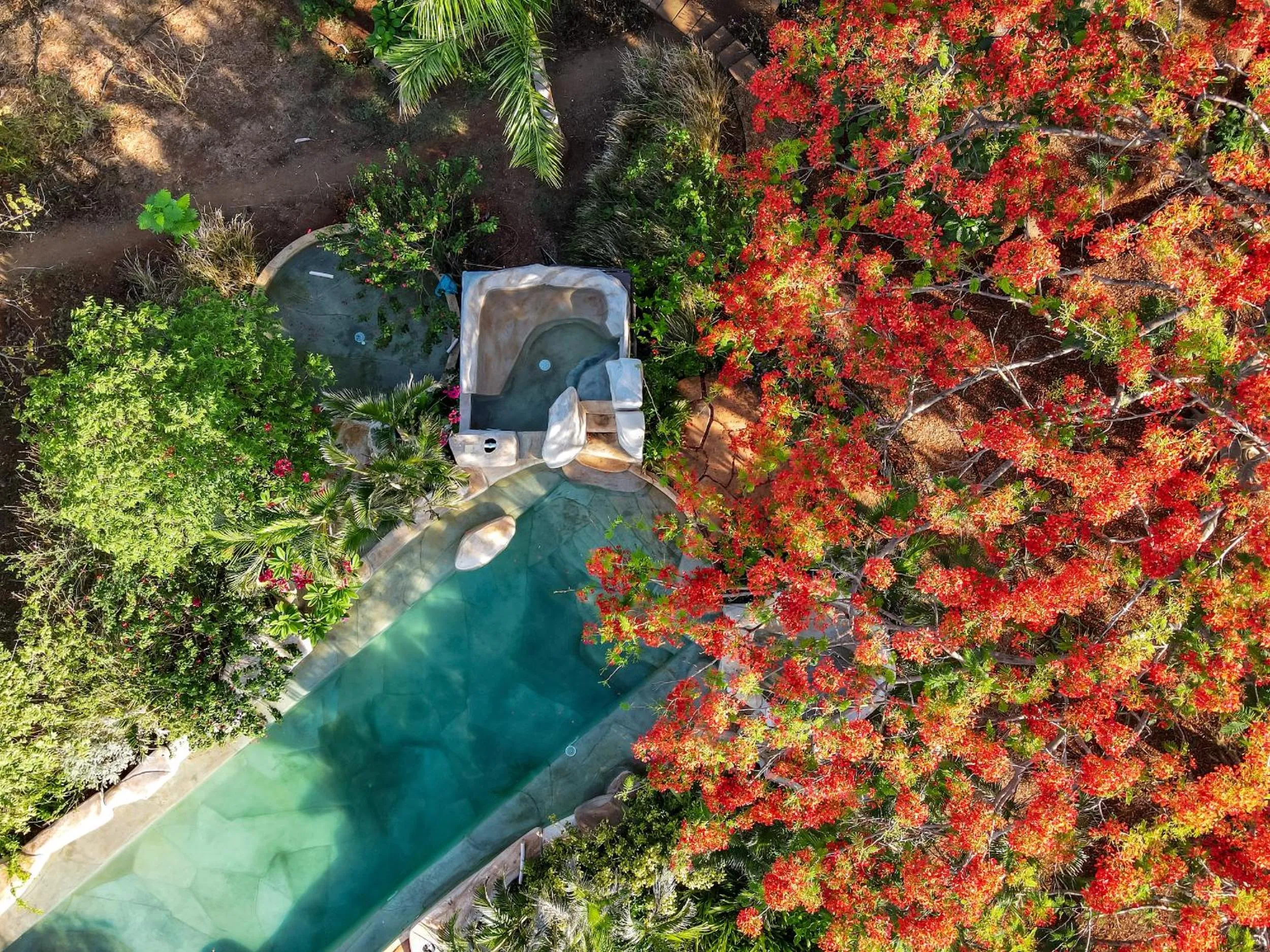 Bird's eye view in Latica Lodge