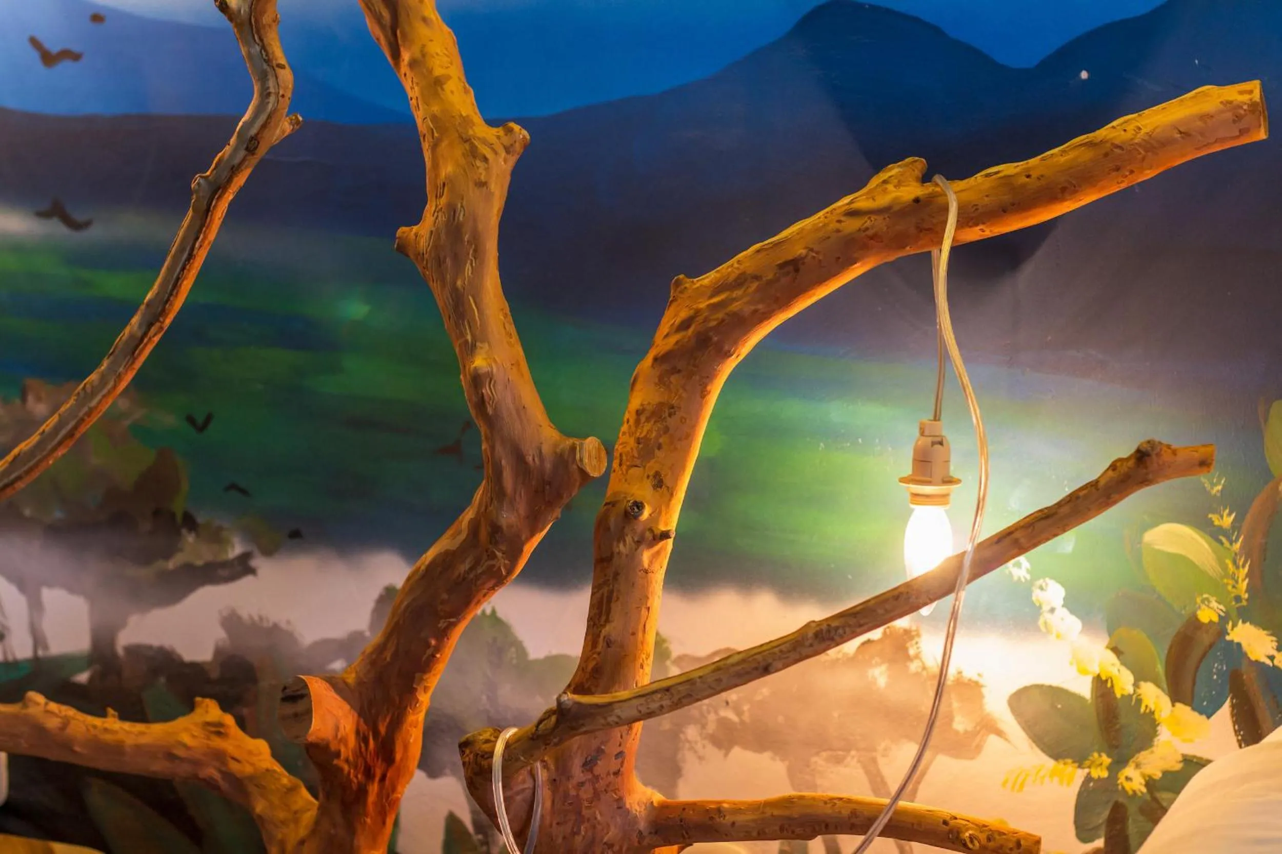 Decorative detail in Latica Lodge