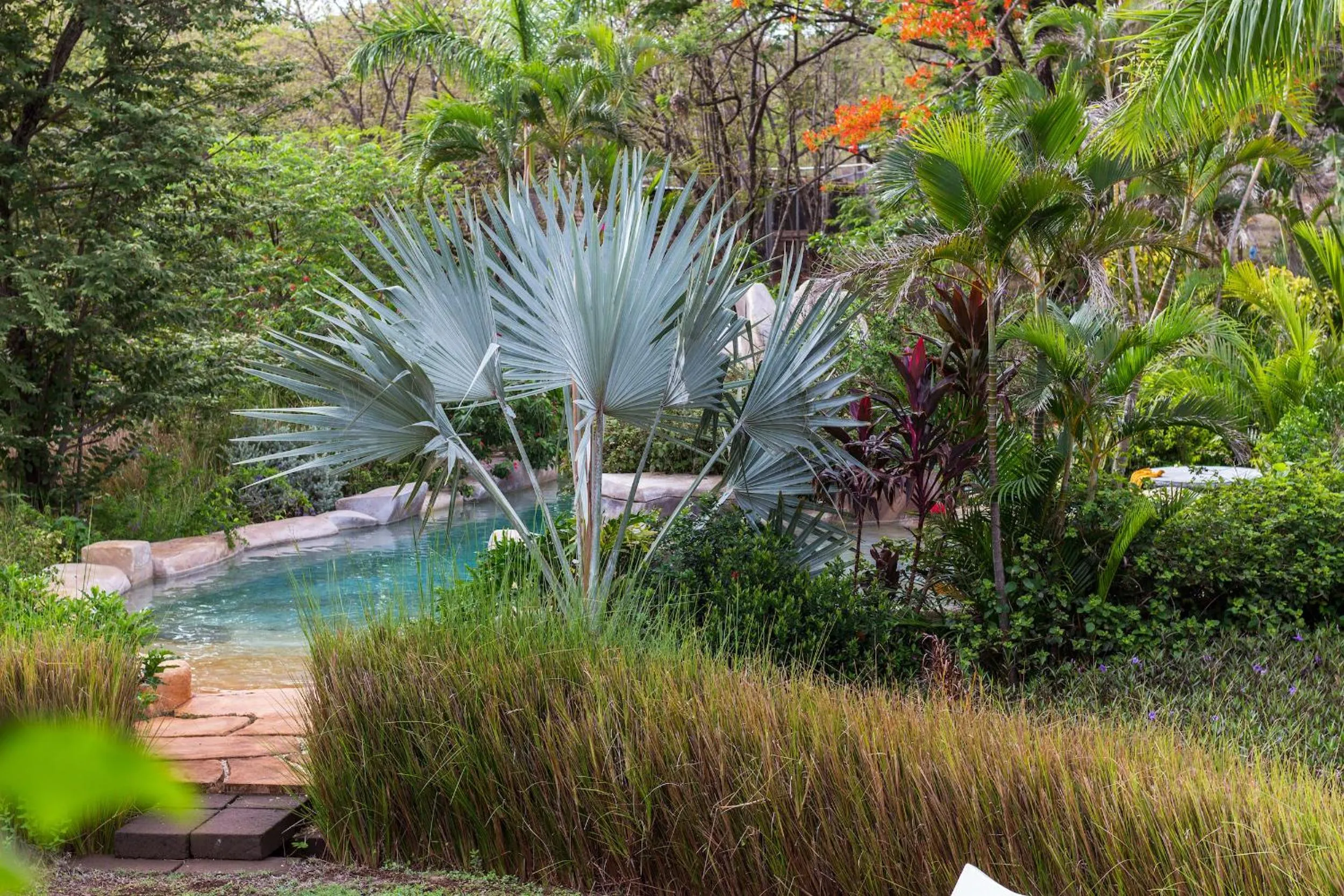 Garden in Latica Lodge