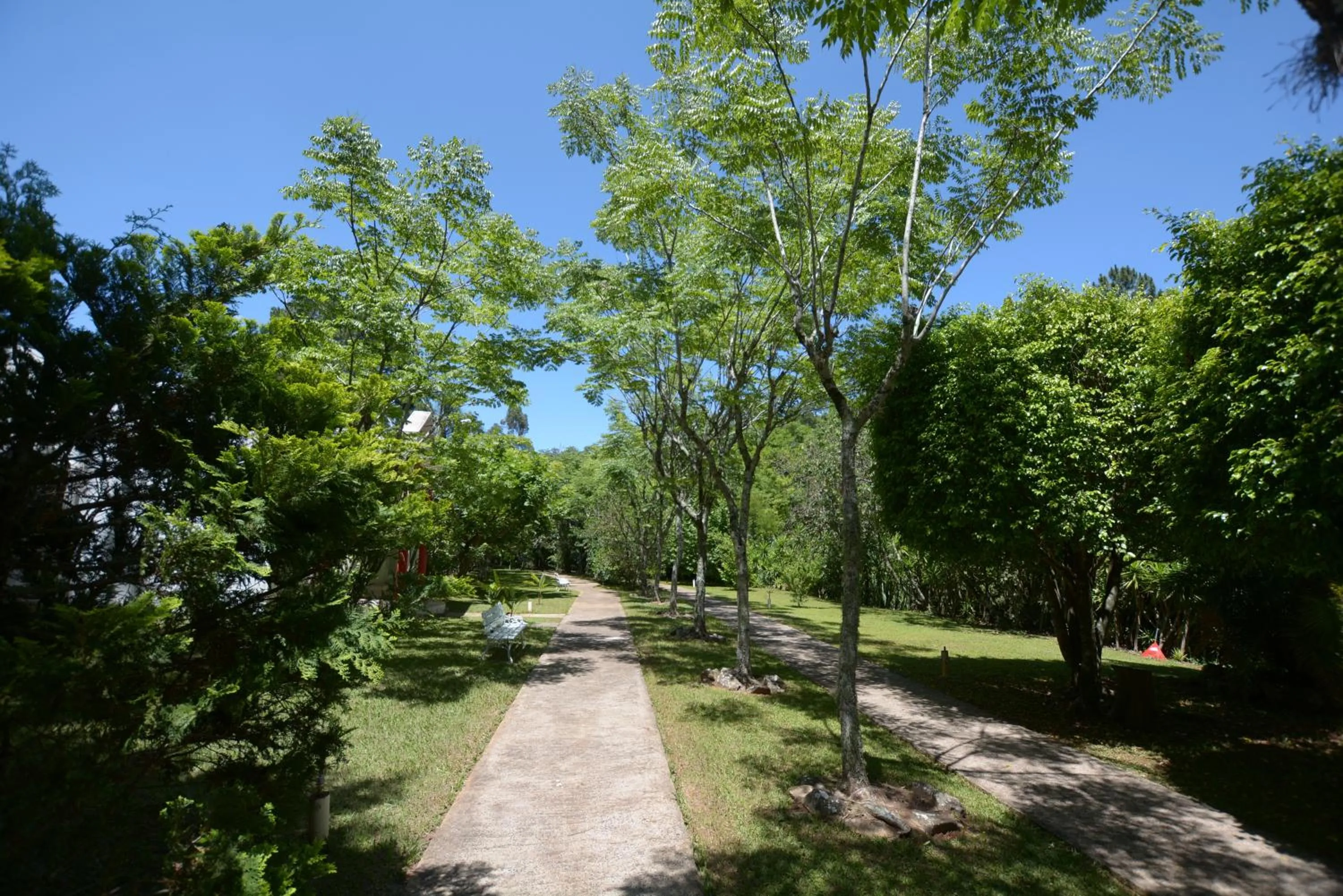 Garden in Biazi Paradise Hotel