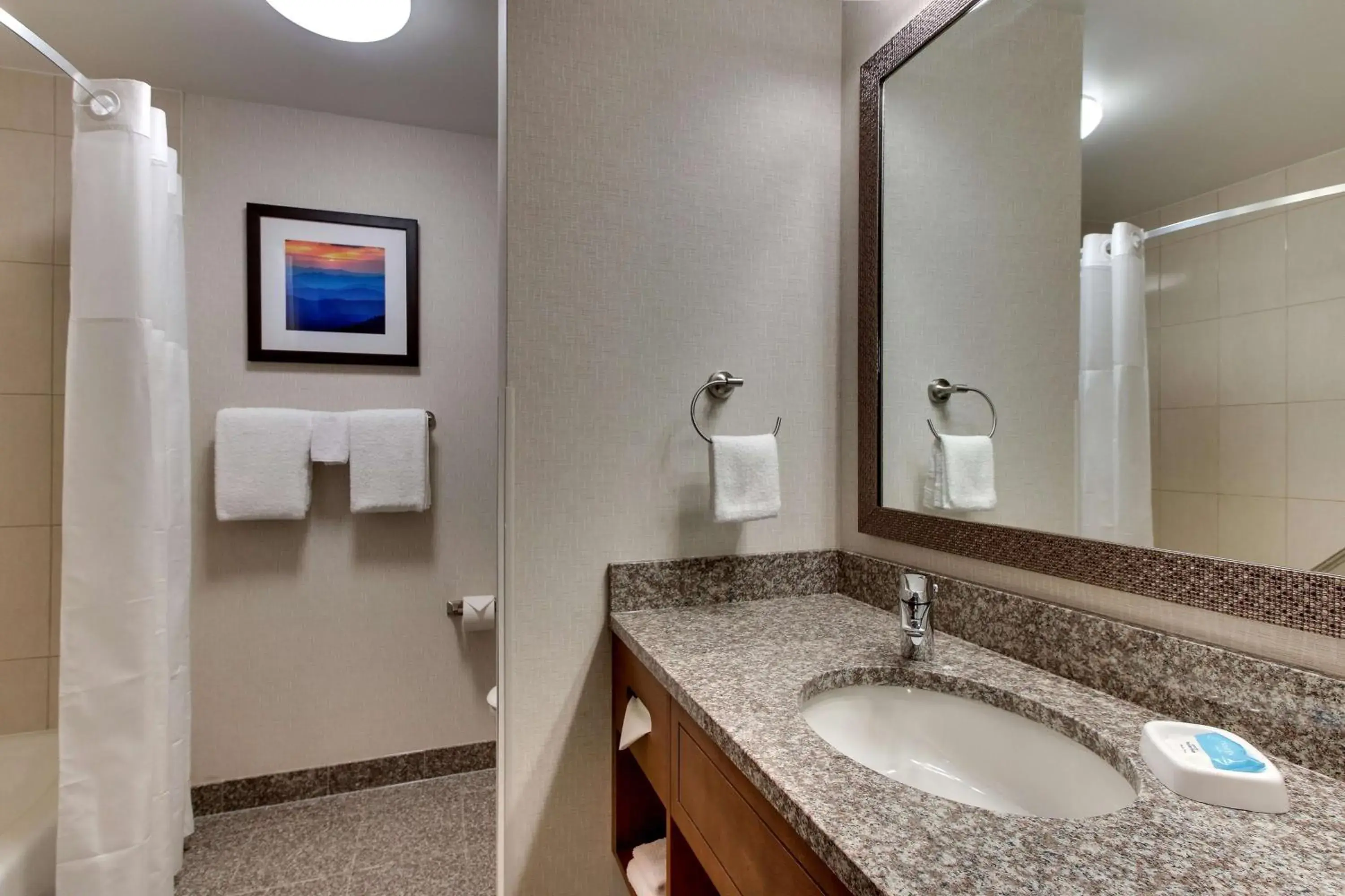 Deluxe King Room - Hearing Accessible, Shower in Drury Inn & Suites Knoxville West Deluxe King Room - Hearing Accessible, Shower in Drury Inn & Suites Knoxville West