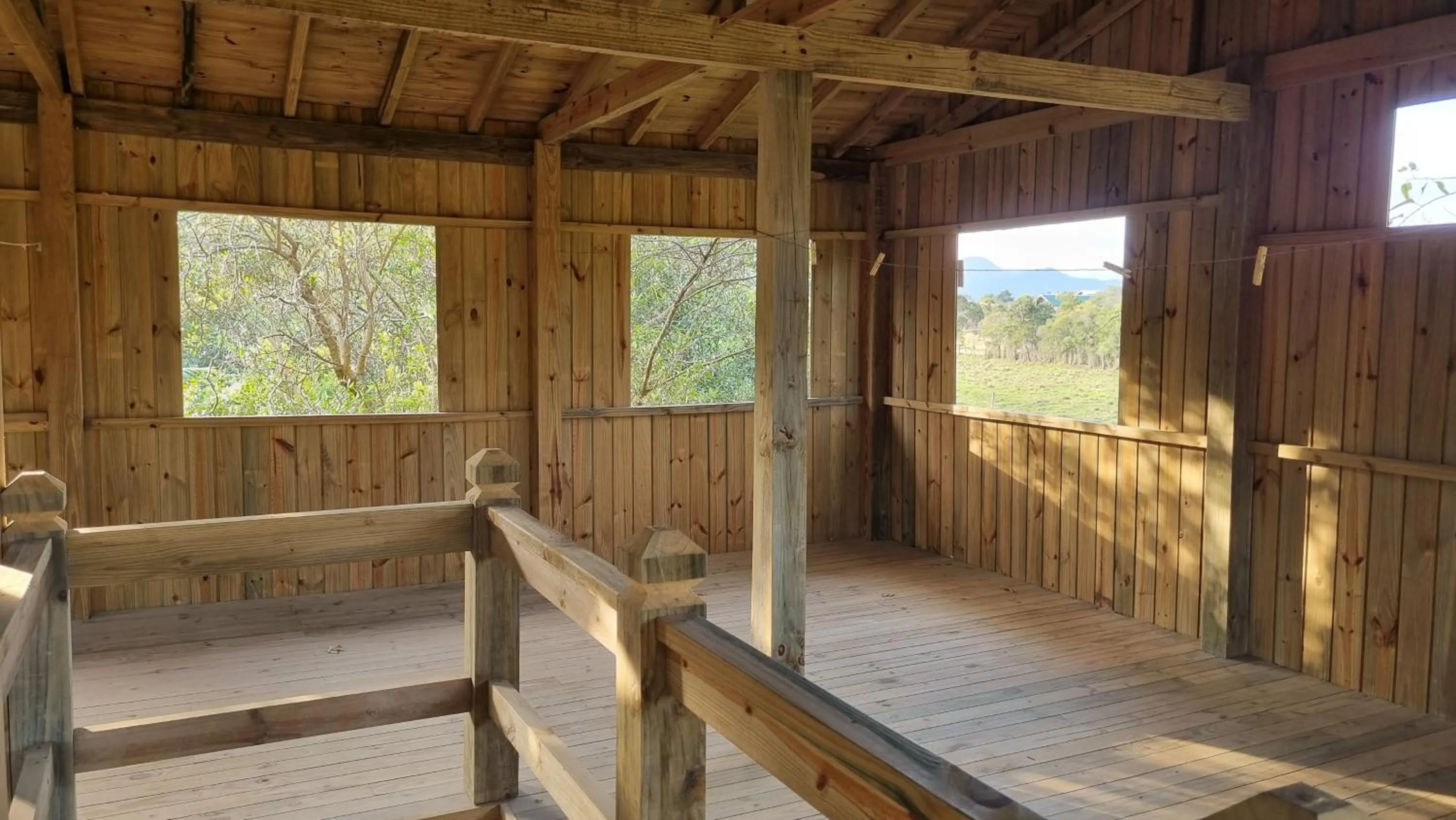 Garden in Arte da Tribo Hostel & Camping