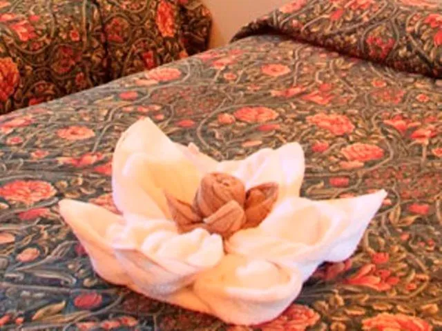 Decorative detail, Bed in Blue Dolphin Motel