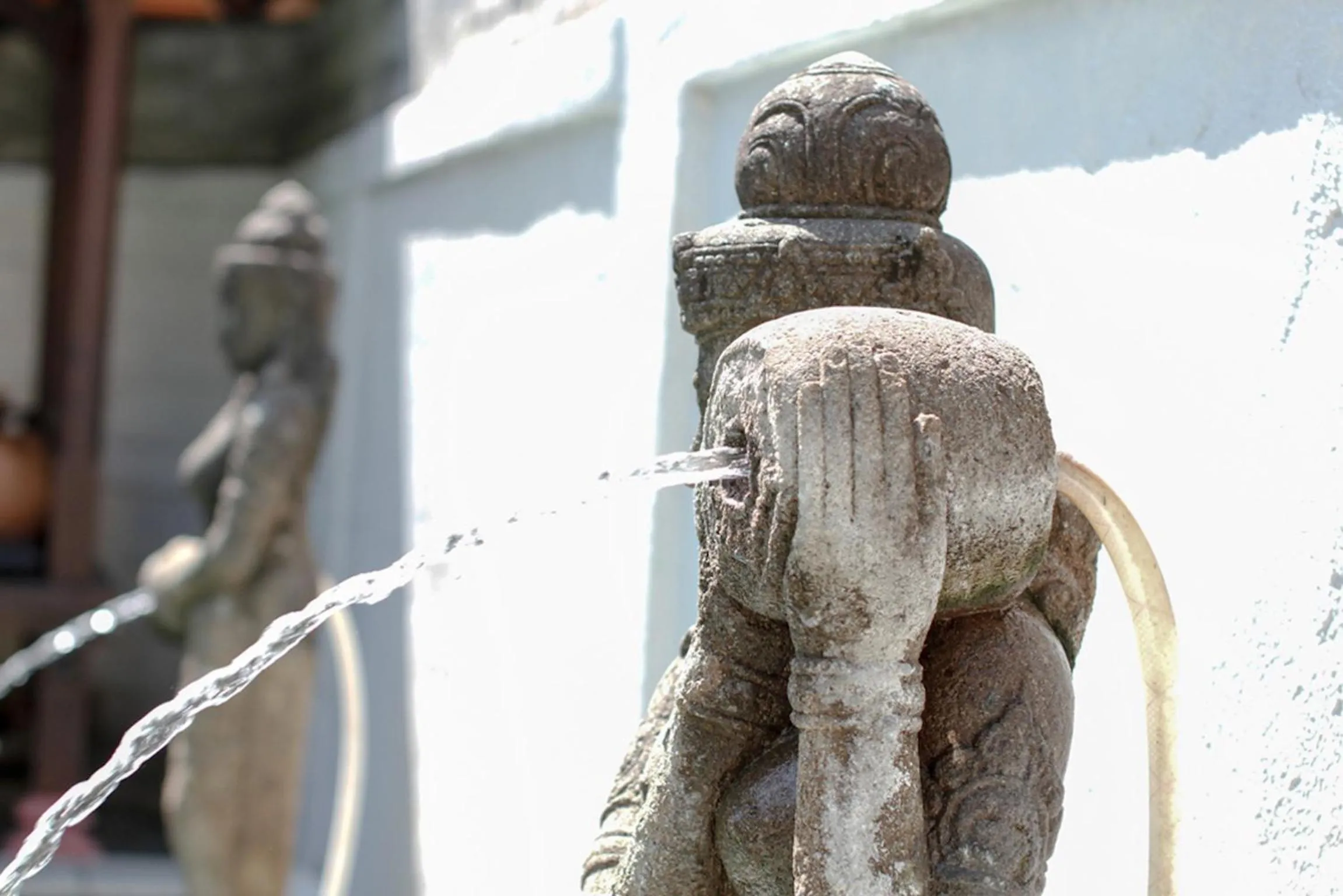 Day in Sunhouse Guesthouse