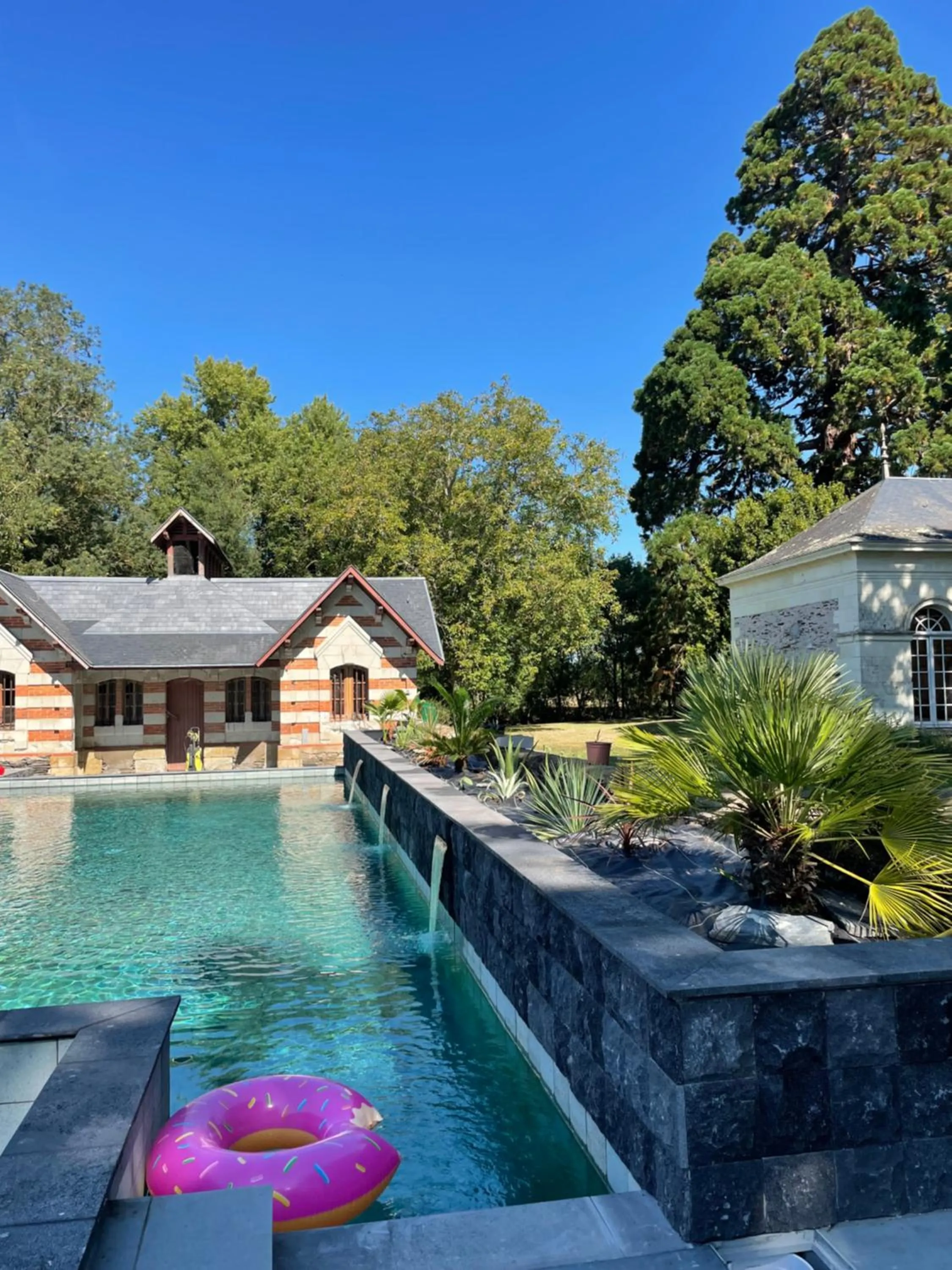 Swimming pool in Château de Belle Poule
