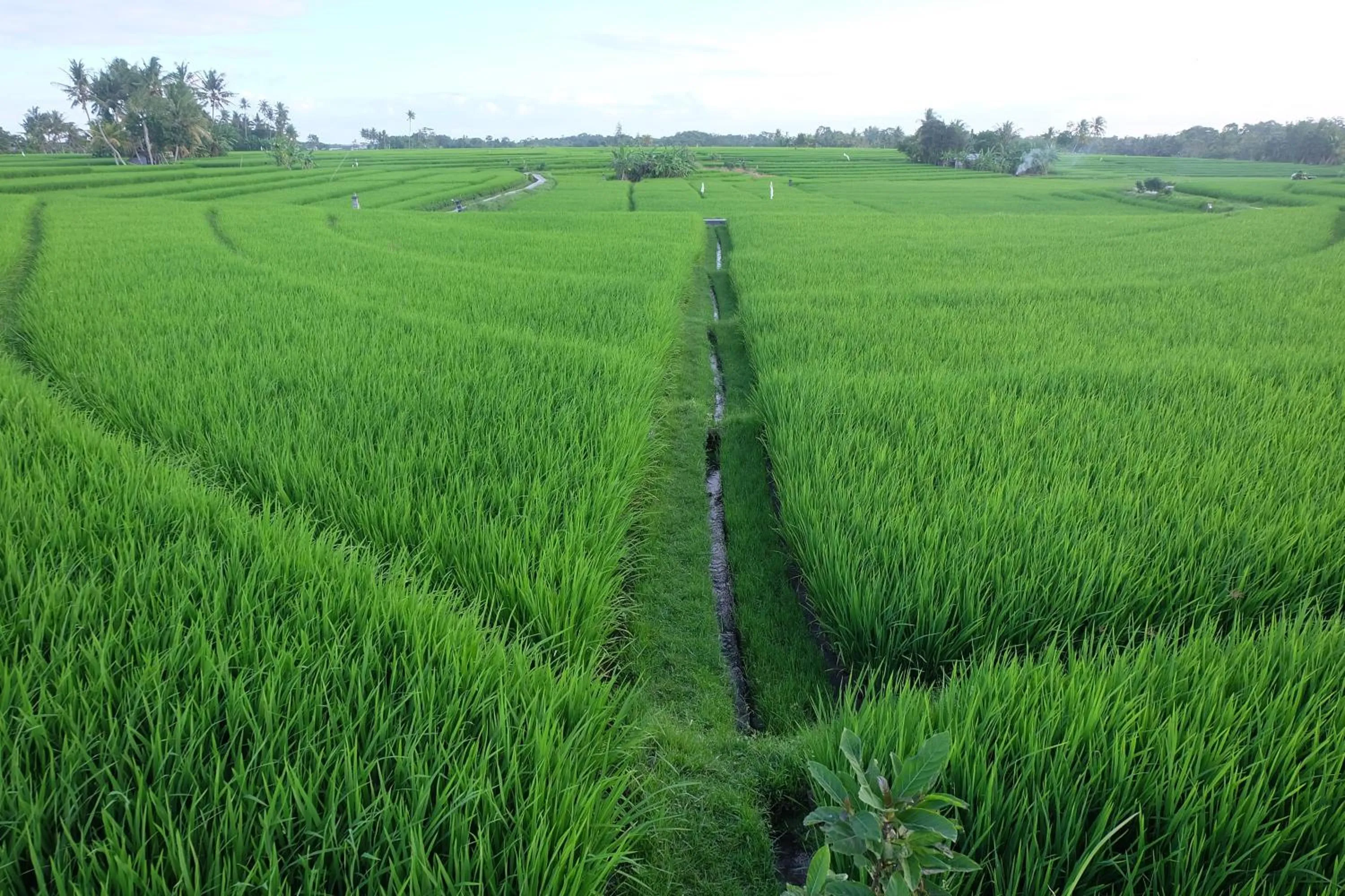 Natural landscape in Villa Pilou Boutique Hotel