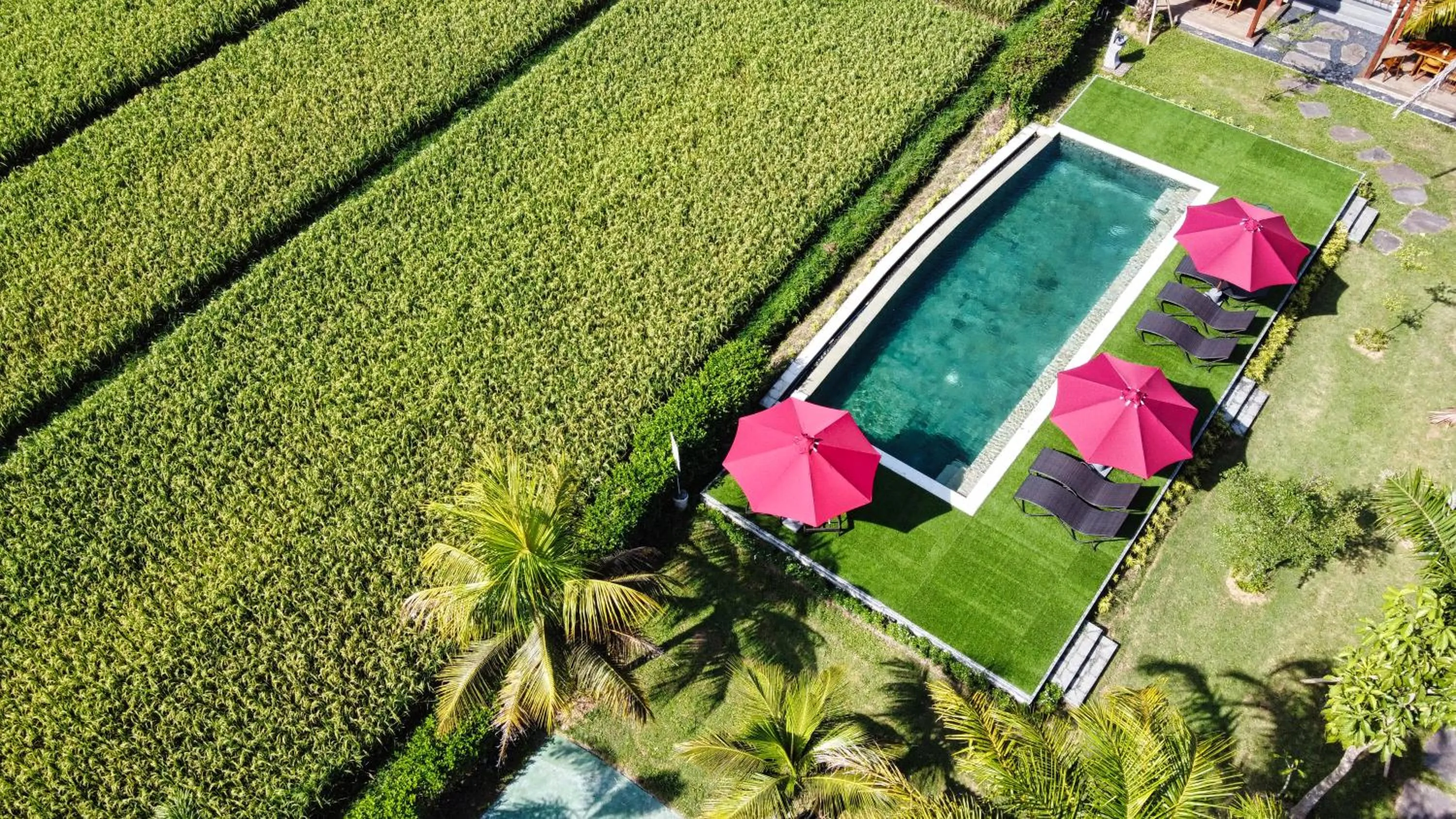 Day in Adil Villa & Resort