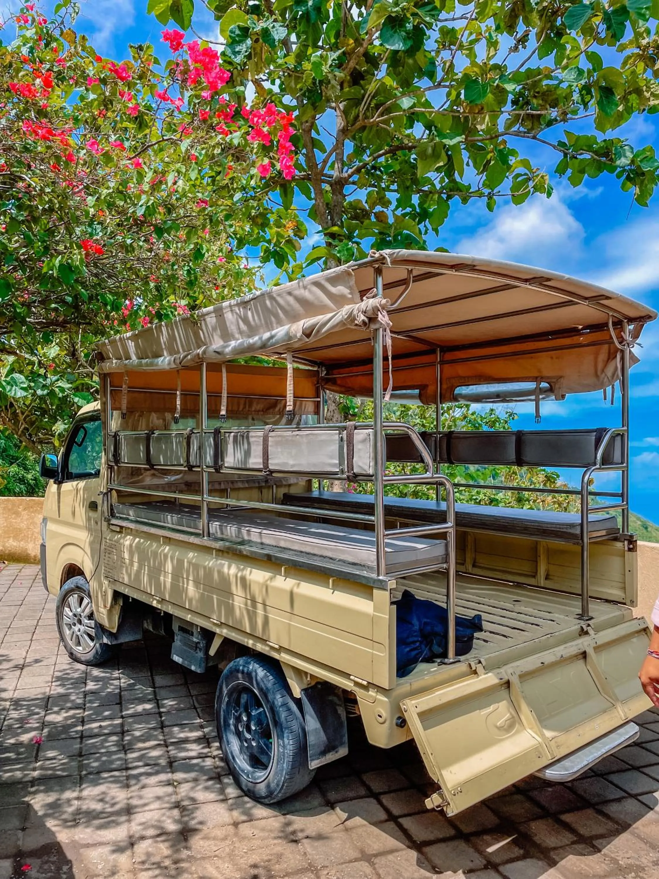 Area and facilities in MATHIS Lodge Amed