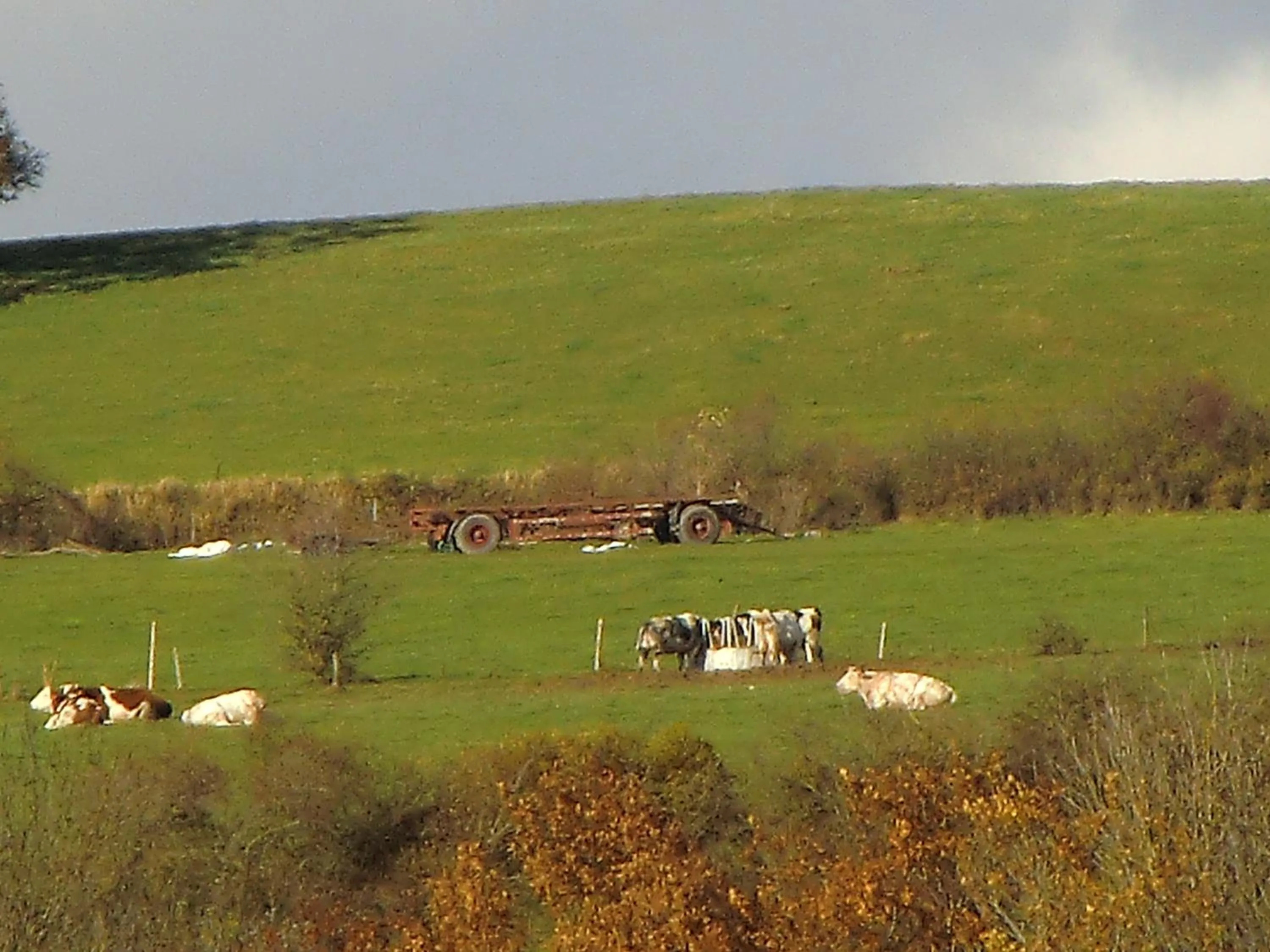 Natural landscape in B&B Au Coeur de Villers
