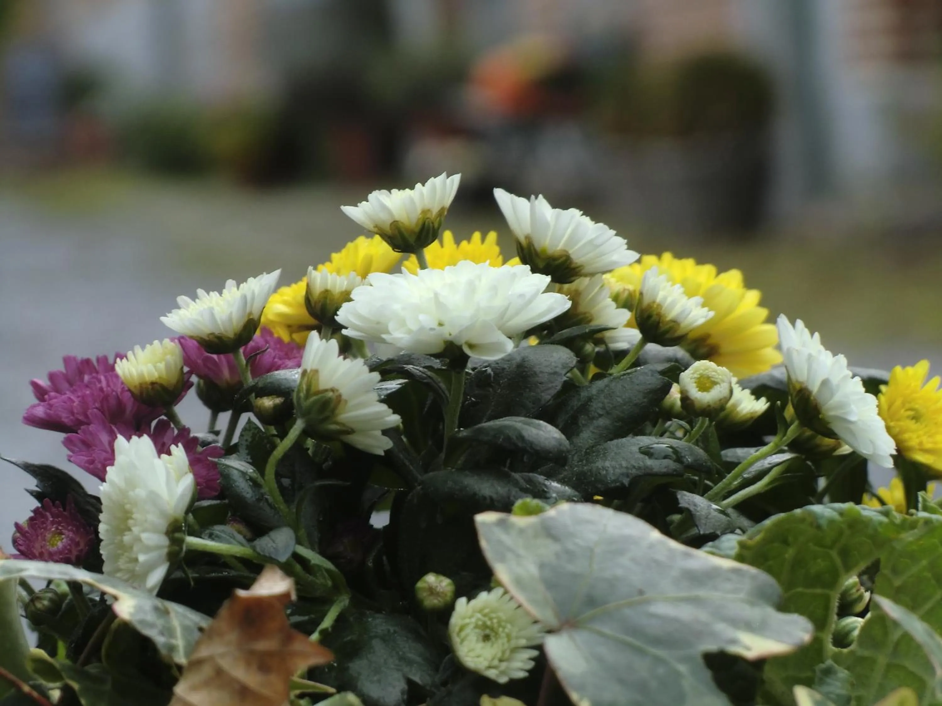 Decorative detail in B&B Au Coeur de Villers