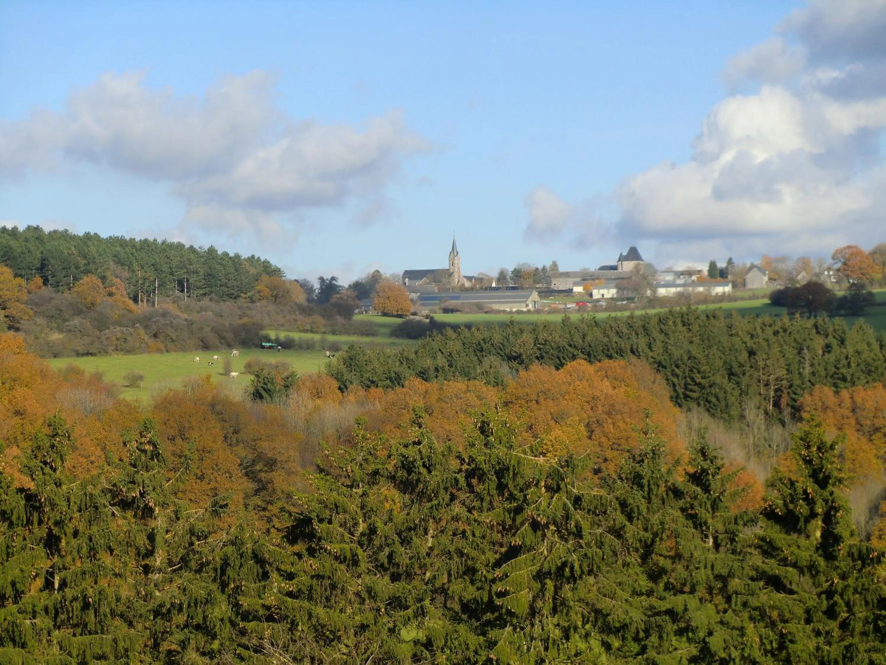 Natural landscape in B&B Au Coeur de Villers