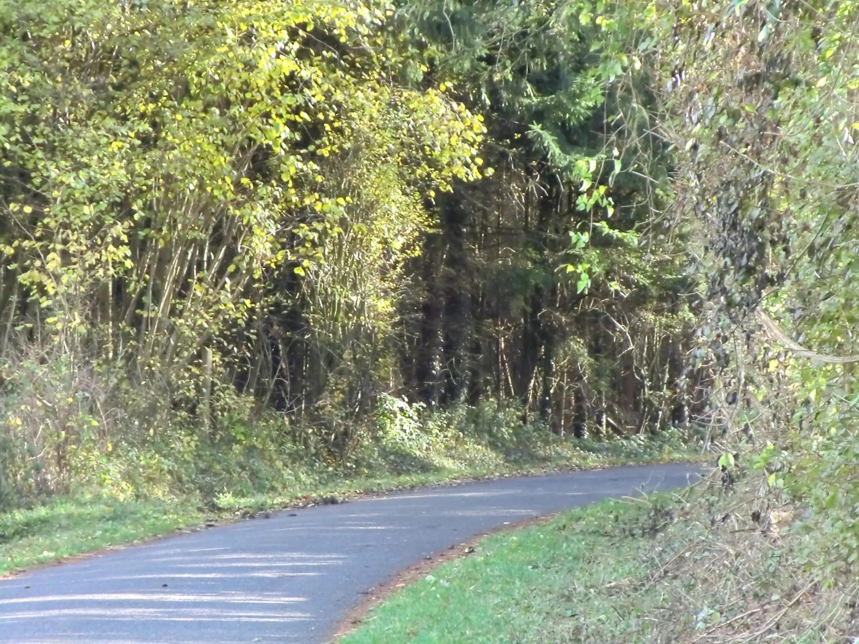 Natural landscape in B&B Au Coeur de Villers