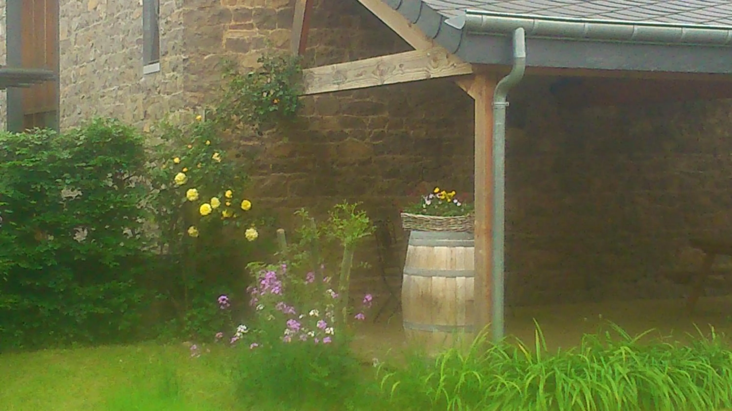 Garden in B&B Au Coeur de Villers