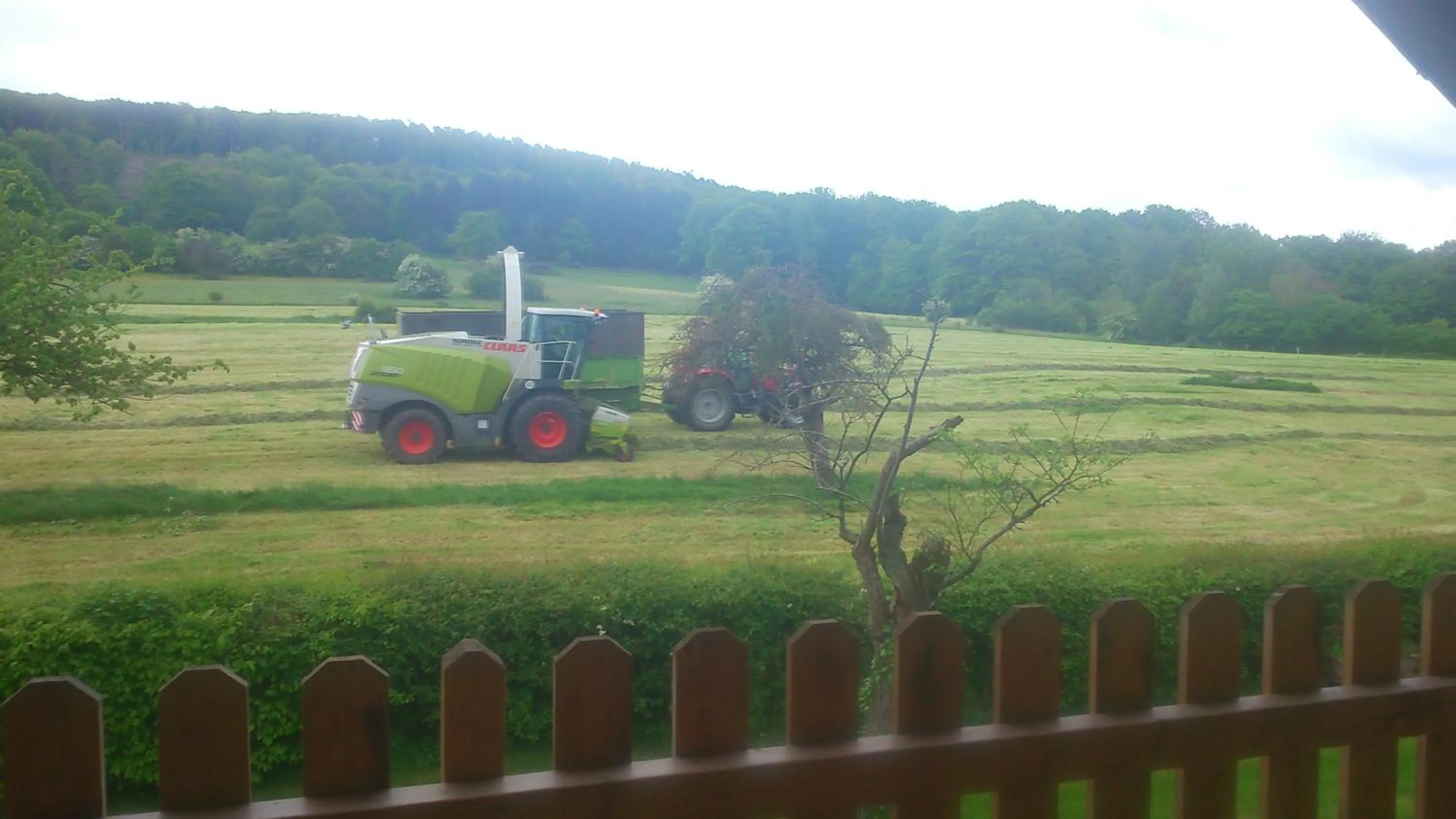 Garden in B&B Au Coeur de Villers