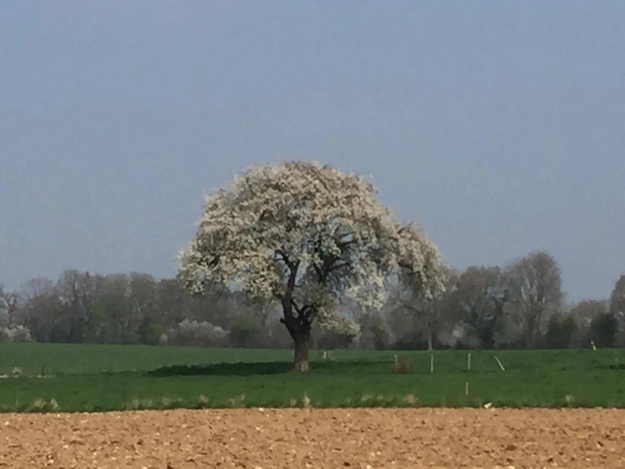 Natural landscape in B&B Au Coeur de Villers