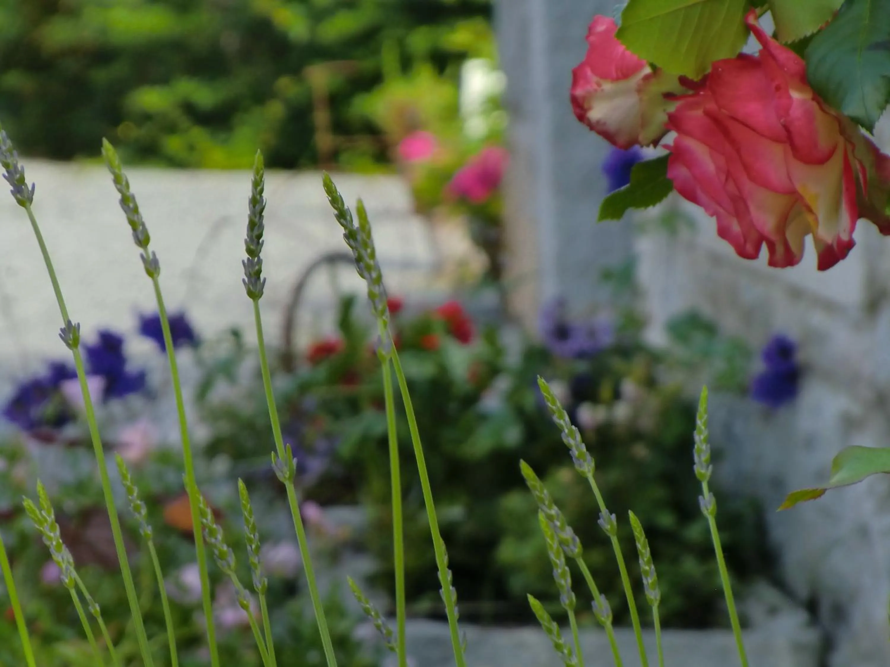 Decorative detail in B&B Au Coeur de Villers