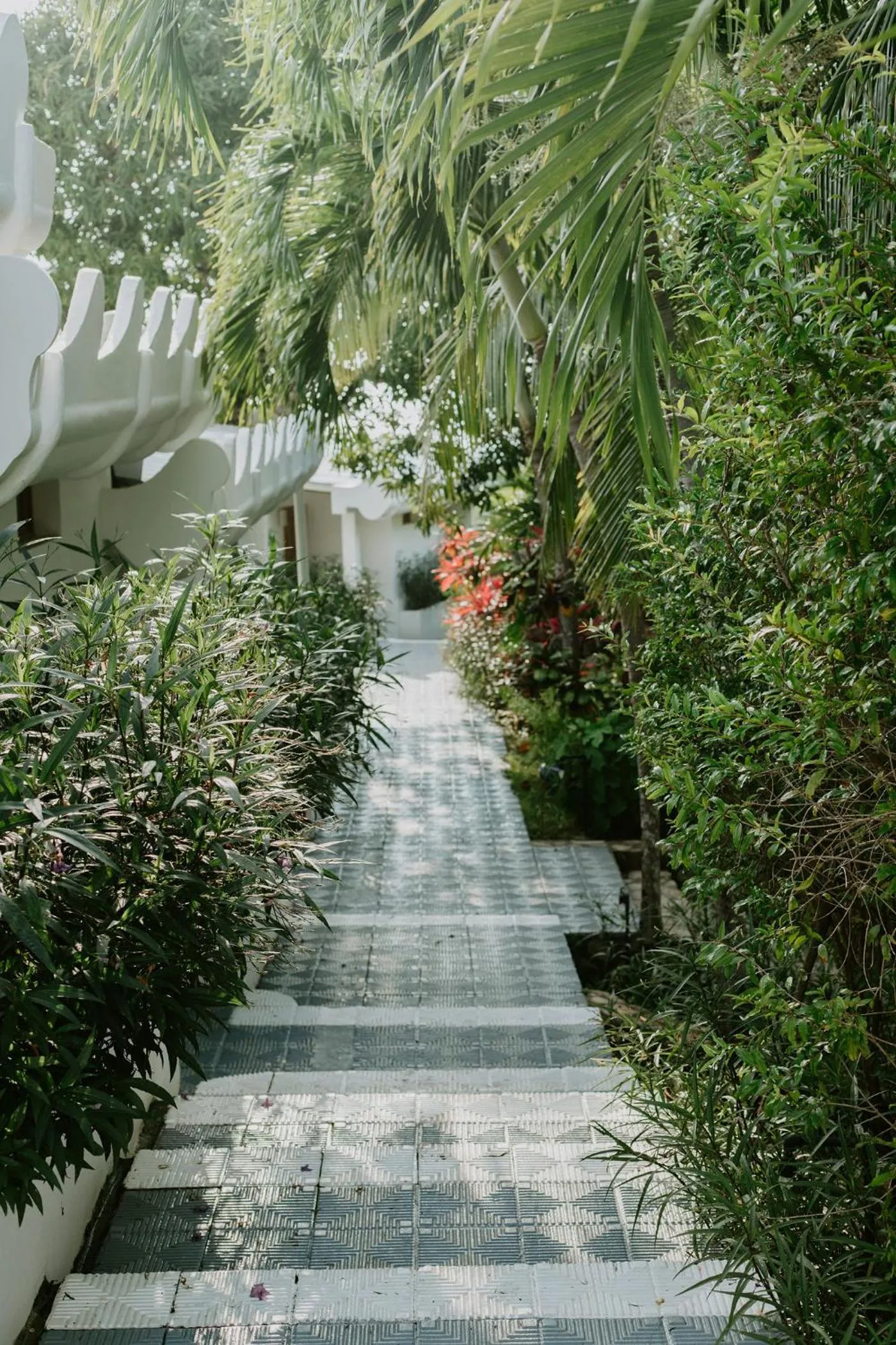 Property building in Nosara Beach Hotel