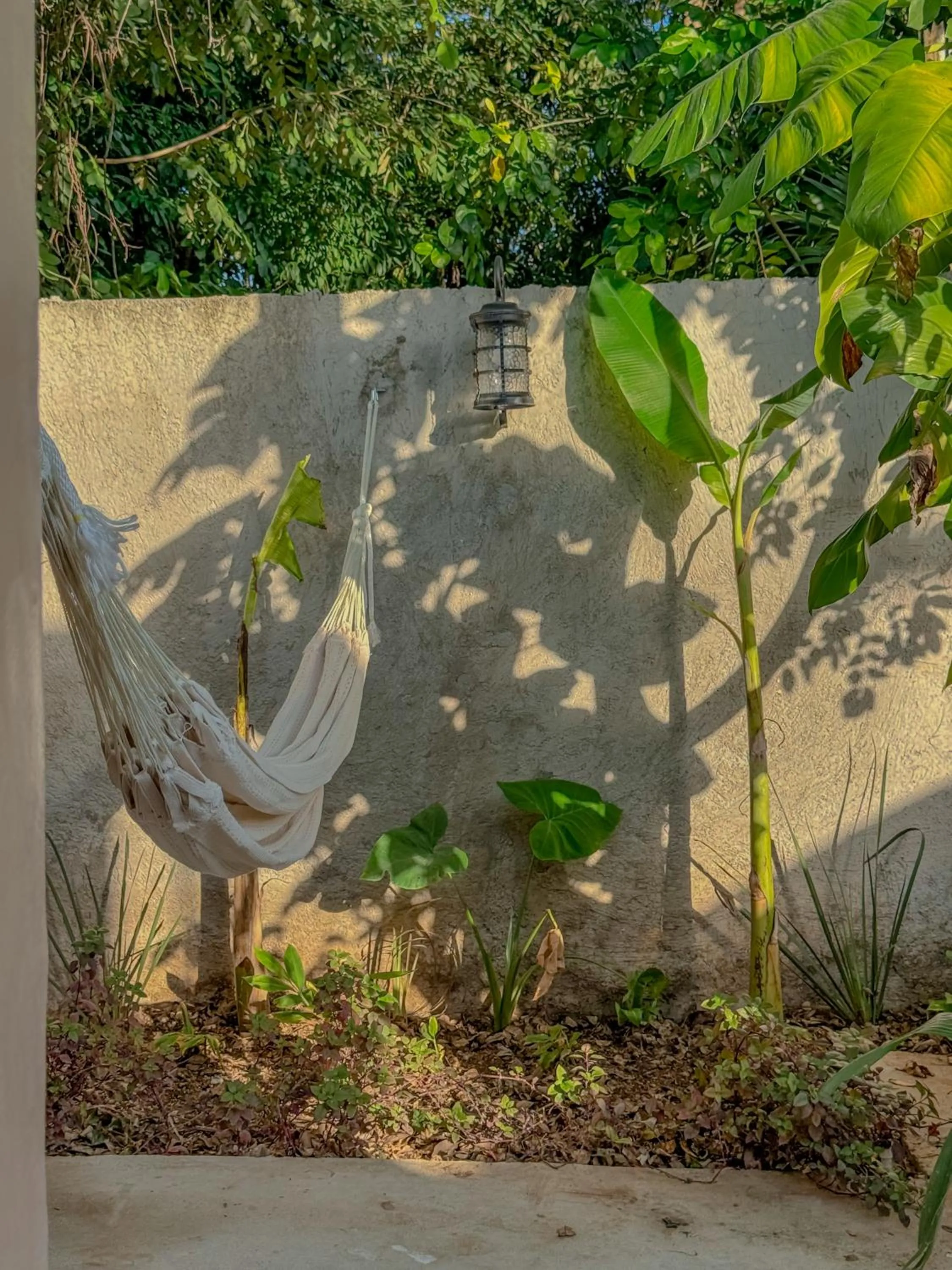 Hacienda Cenote San Ignacio