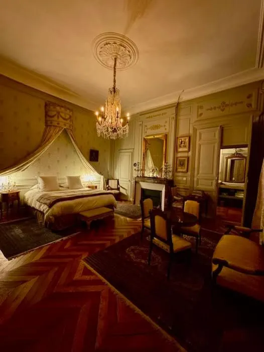 Bed in L'Hotel de Panette, Un exceptionnel château en coeur de ville