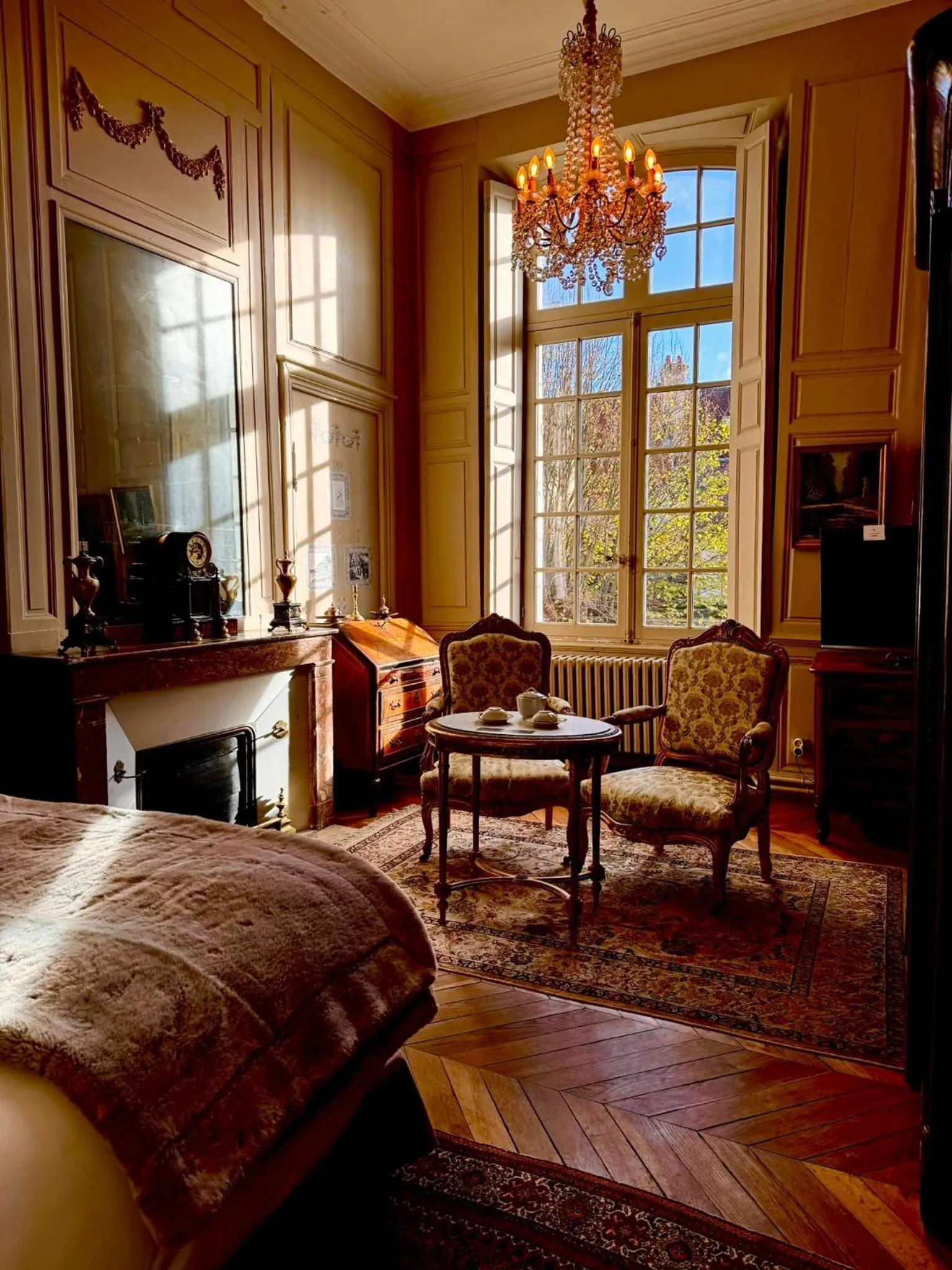 Bed in L'Hotel de Panette, Un exceptionnel château en coeur de ville