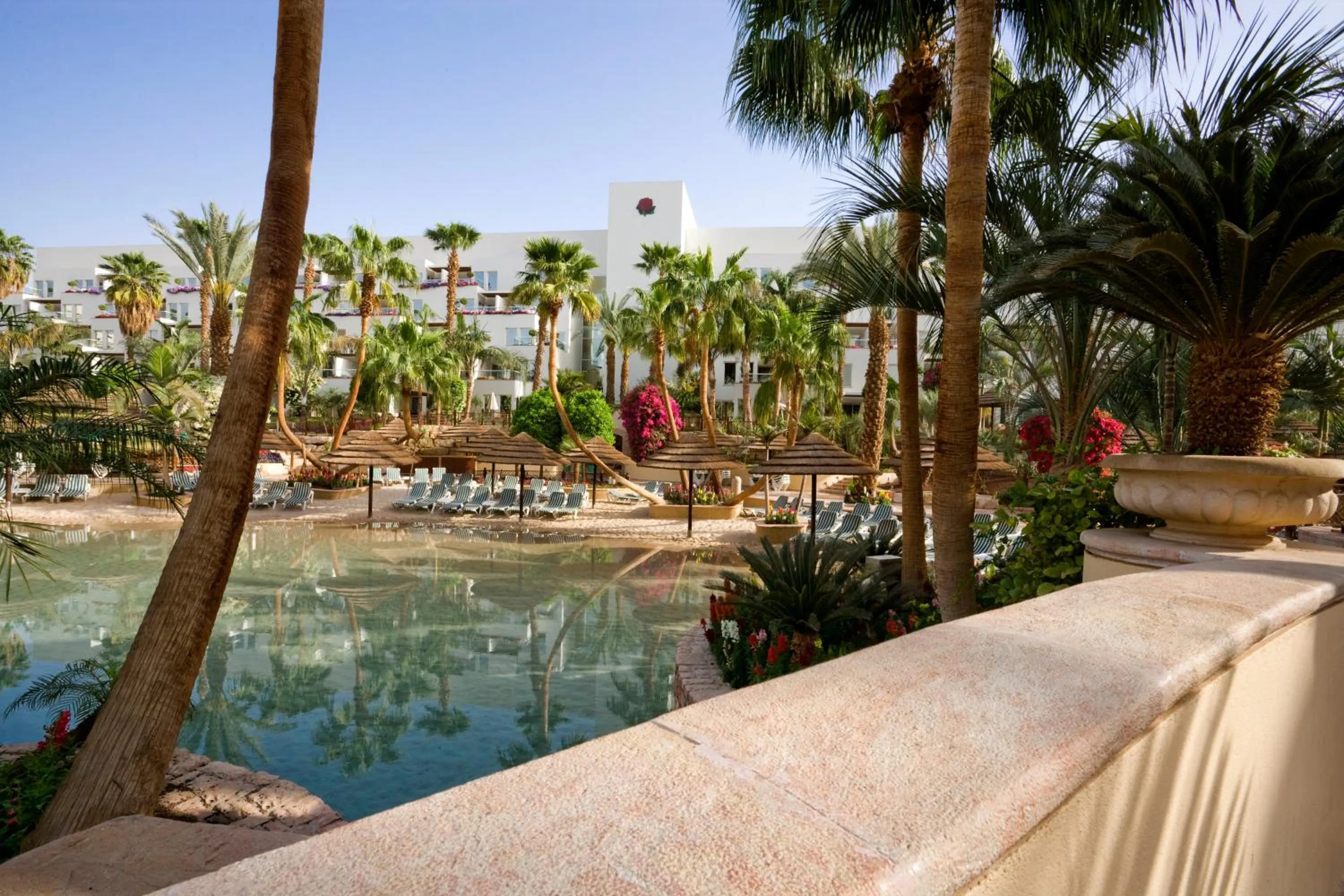 Swimming pool in Royal Garden by Isrotel Collection