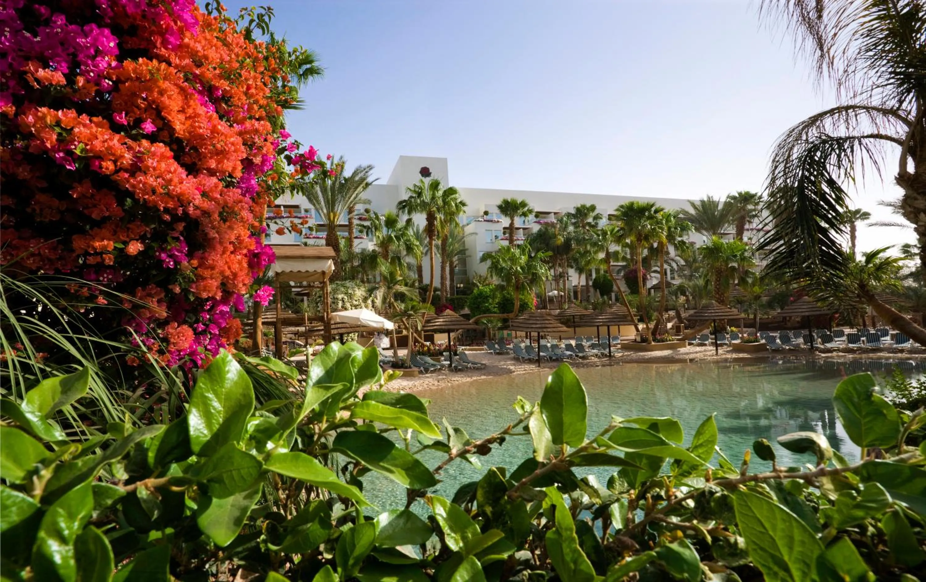 Swimming pool in Royal Garden by Isrotel Collection