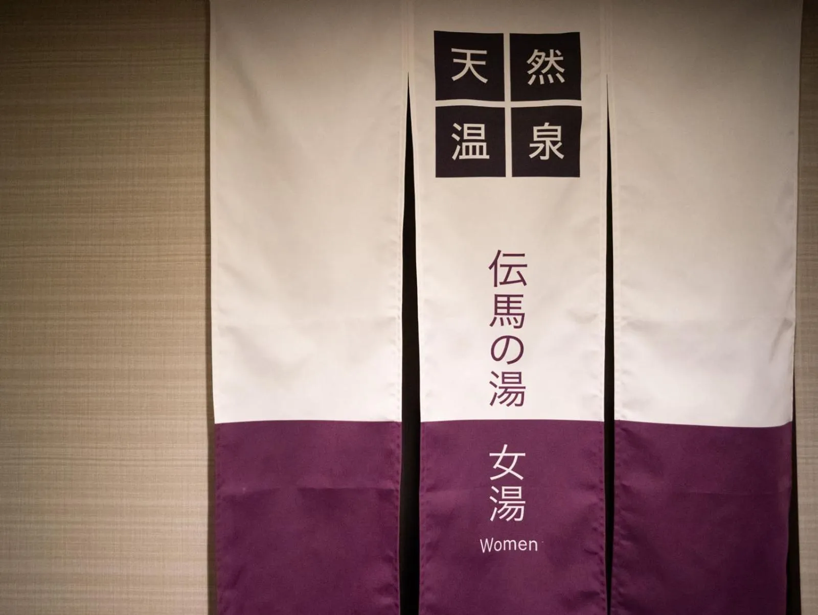 Property logo or sign in Super Hotel Shonan Fujisawaeki Minamiguchi