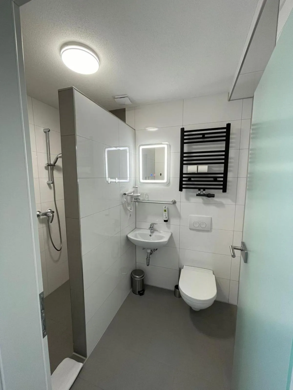 Toilet in Hotel Wiesental Nähe Friedrichshafen