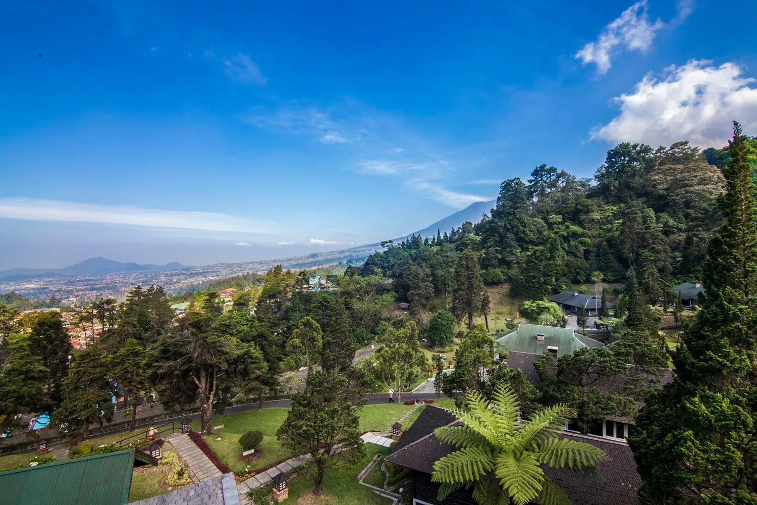 View (from property/room) in Puncak Pass Resort