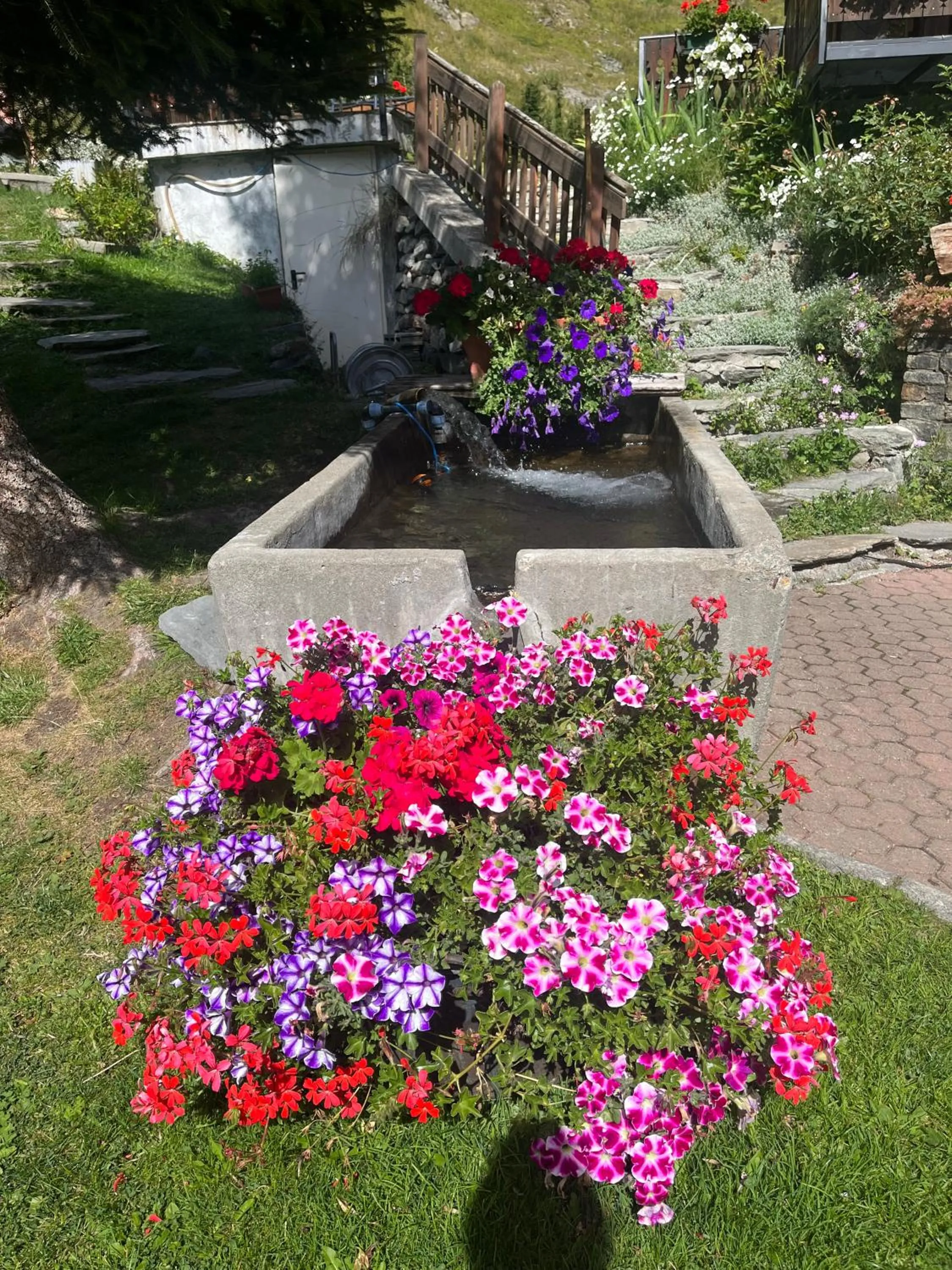 Garden in Hotel Granta Parey