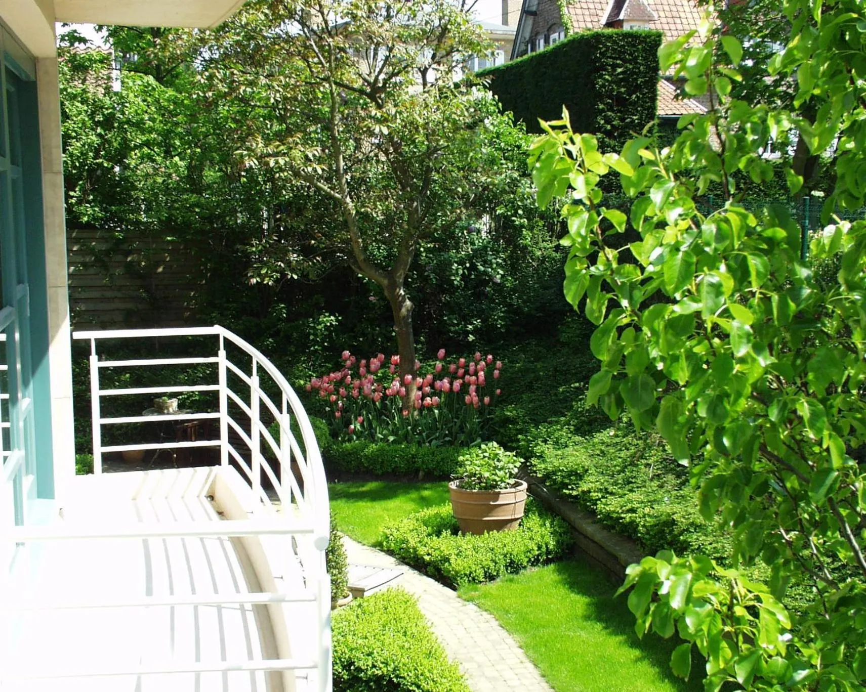 Garden in Hotel Iris