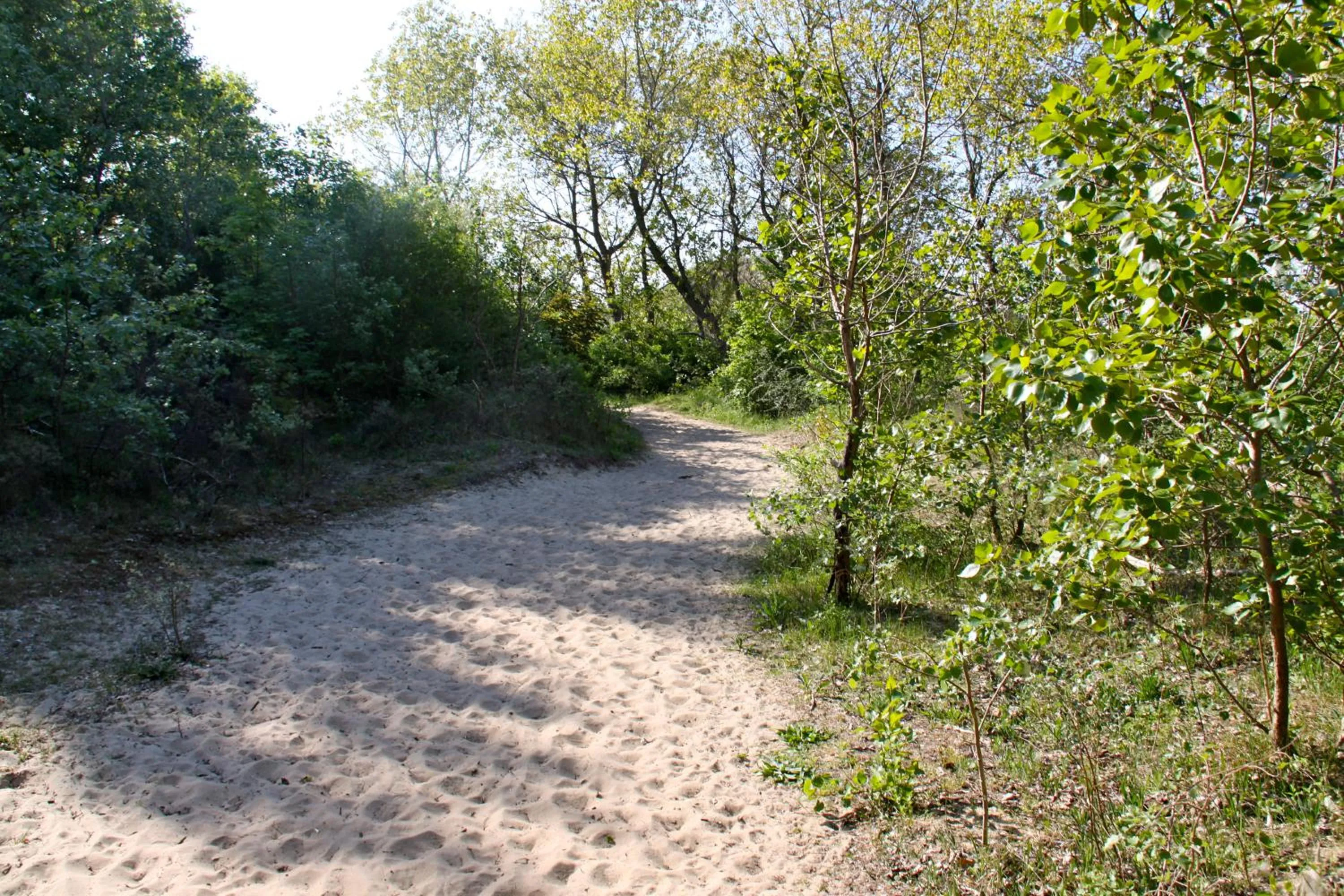 Area and facilities in Hotel Iris