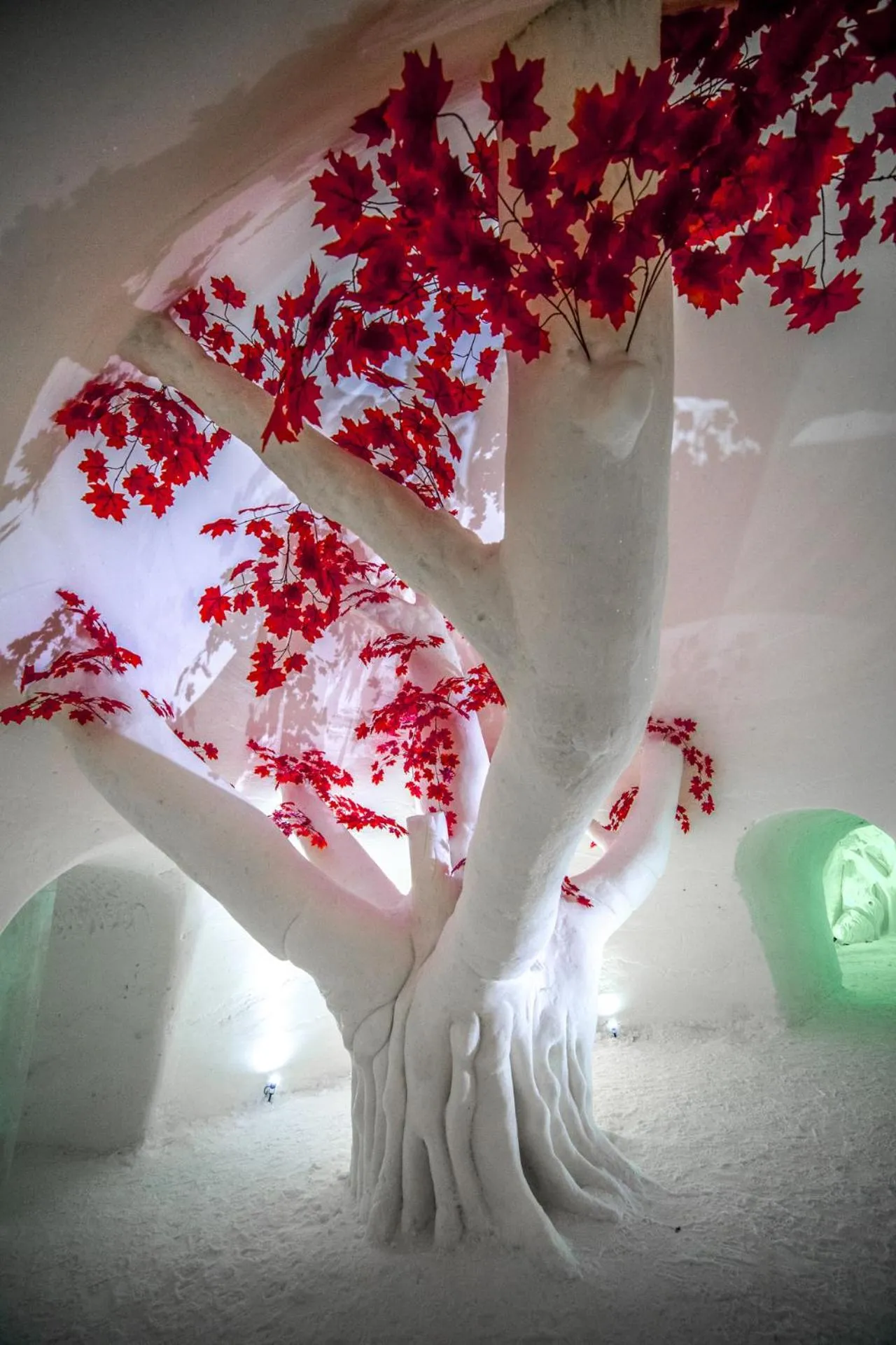 Off site in Lapland Hotels Saaga