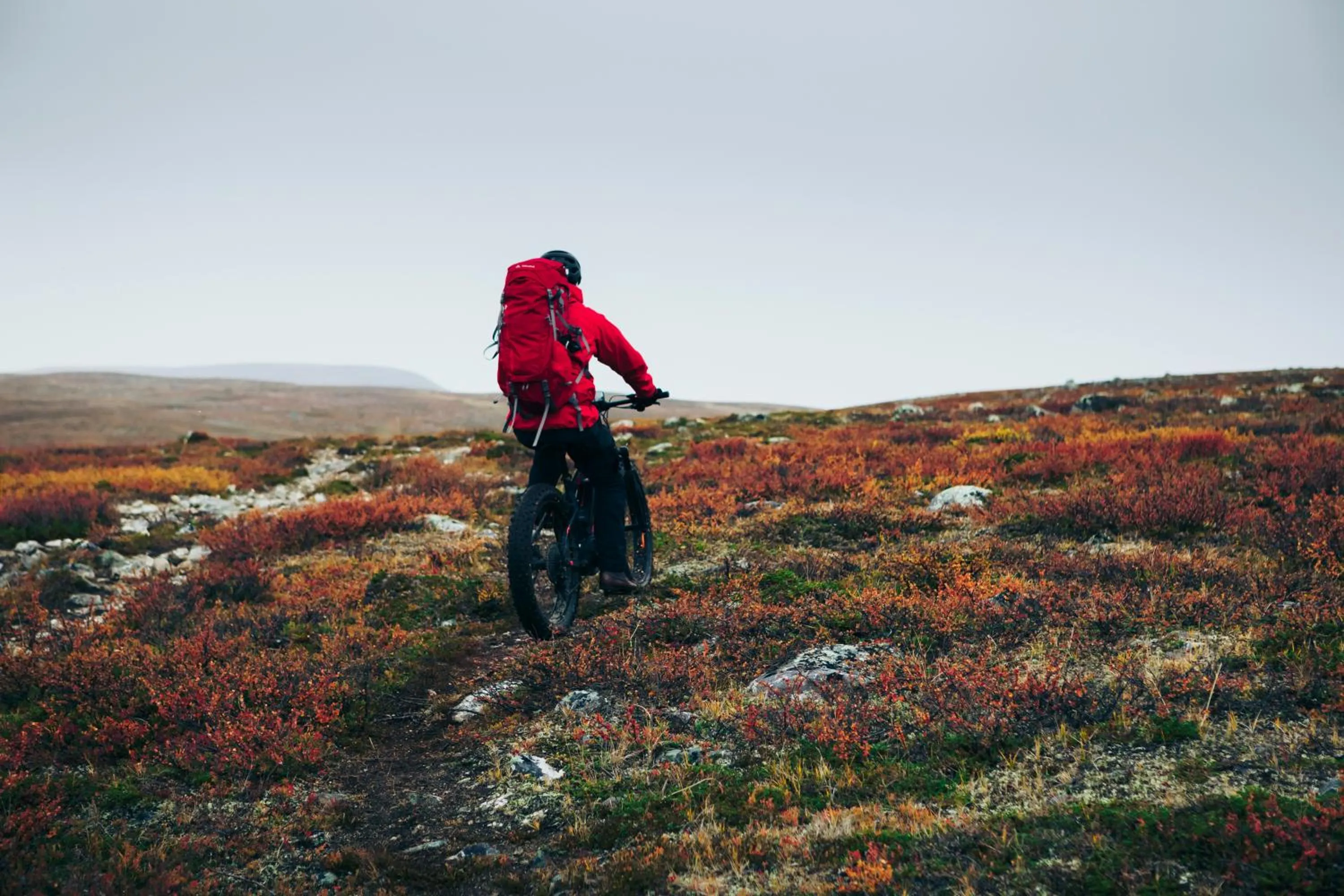 Cycling in Lapland Hotels Saaga