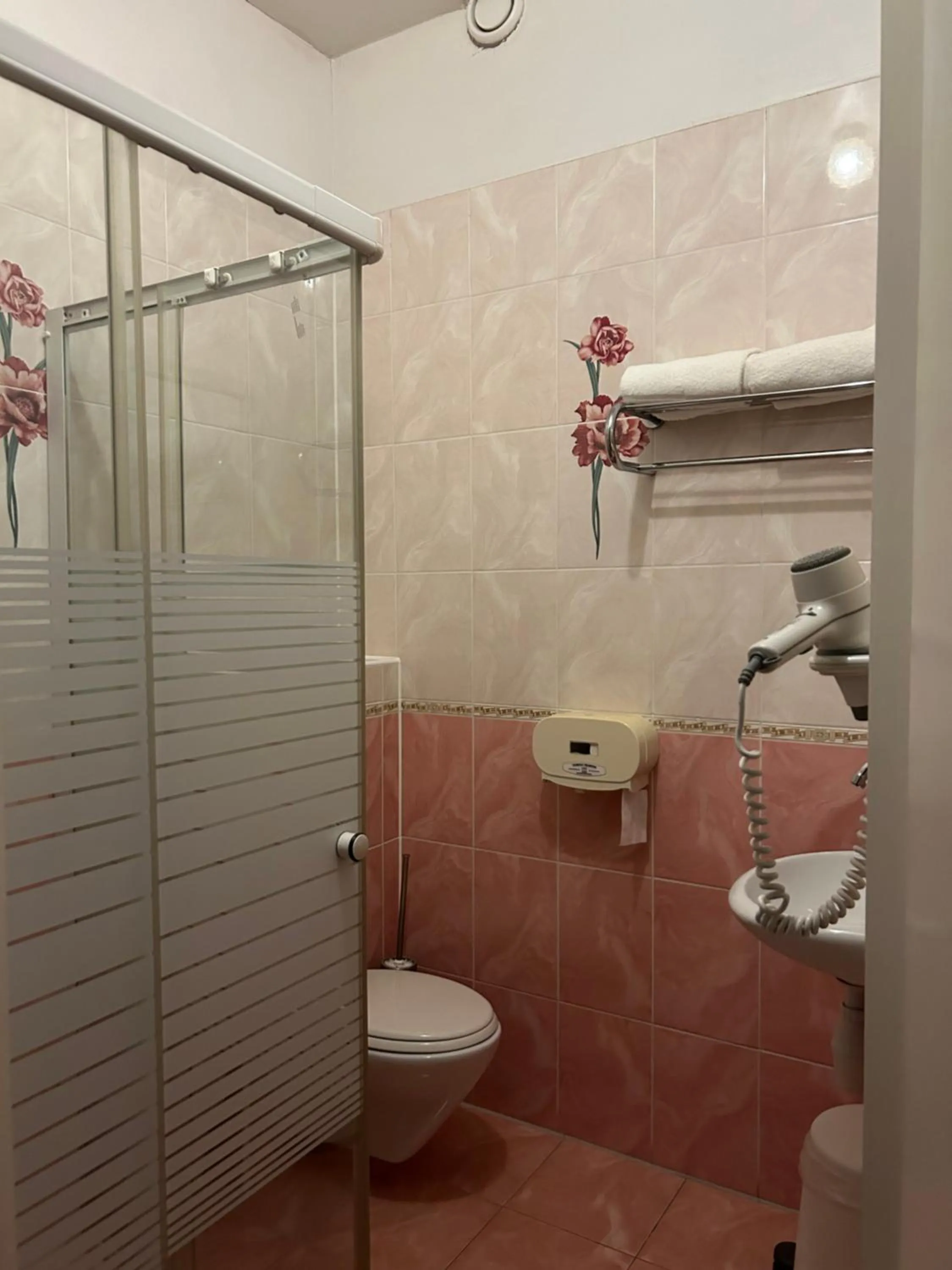 Shower in Hotel Isis