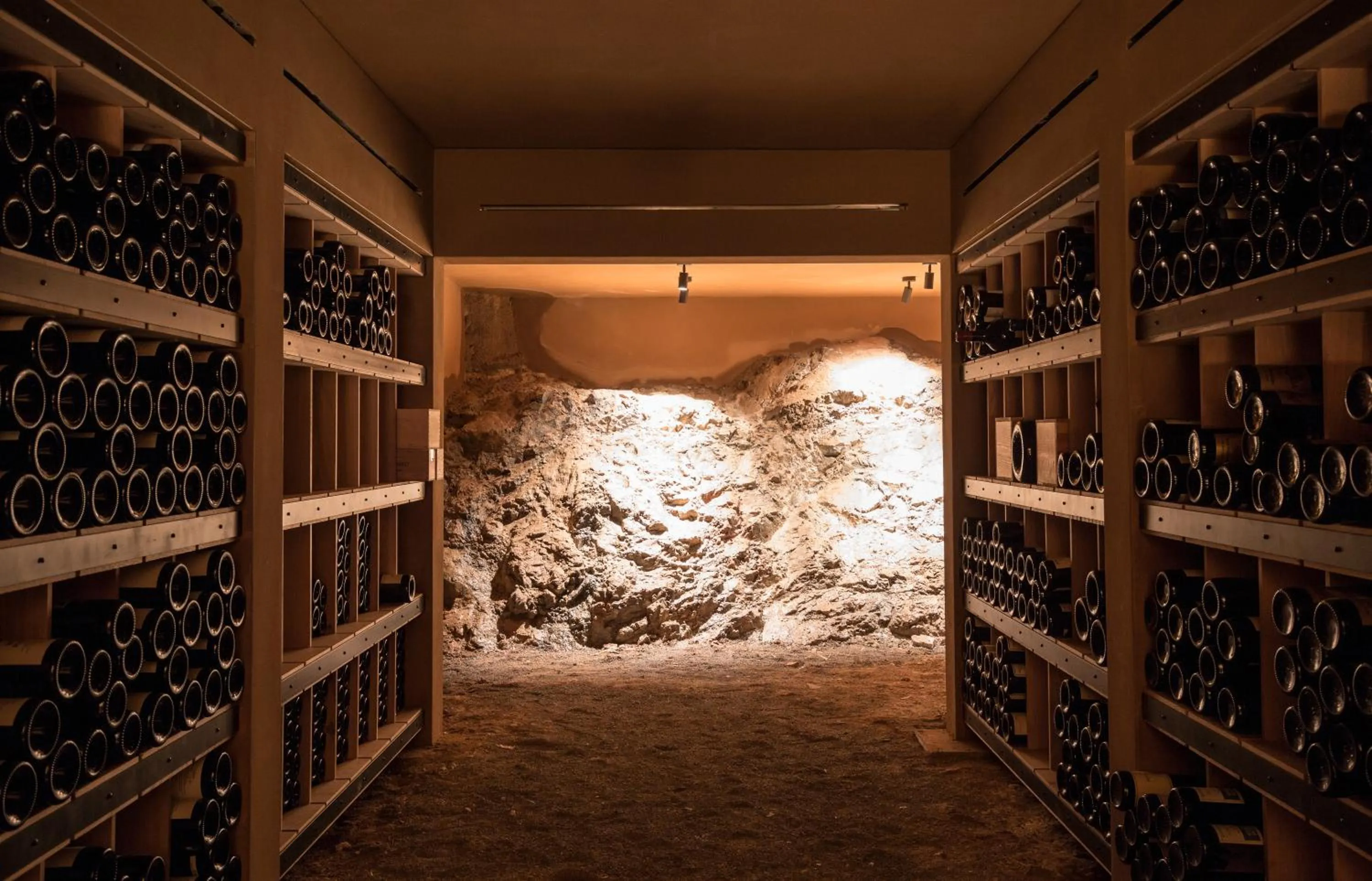 Hotel Almhof Schneider