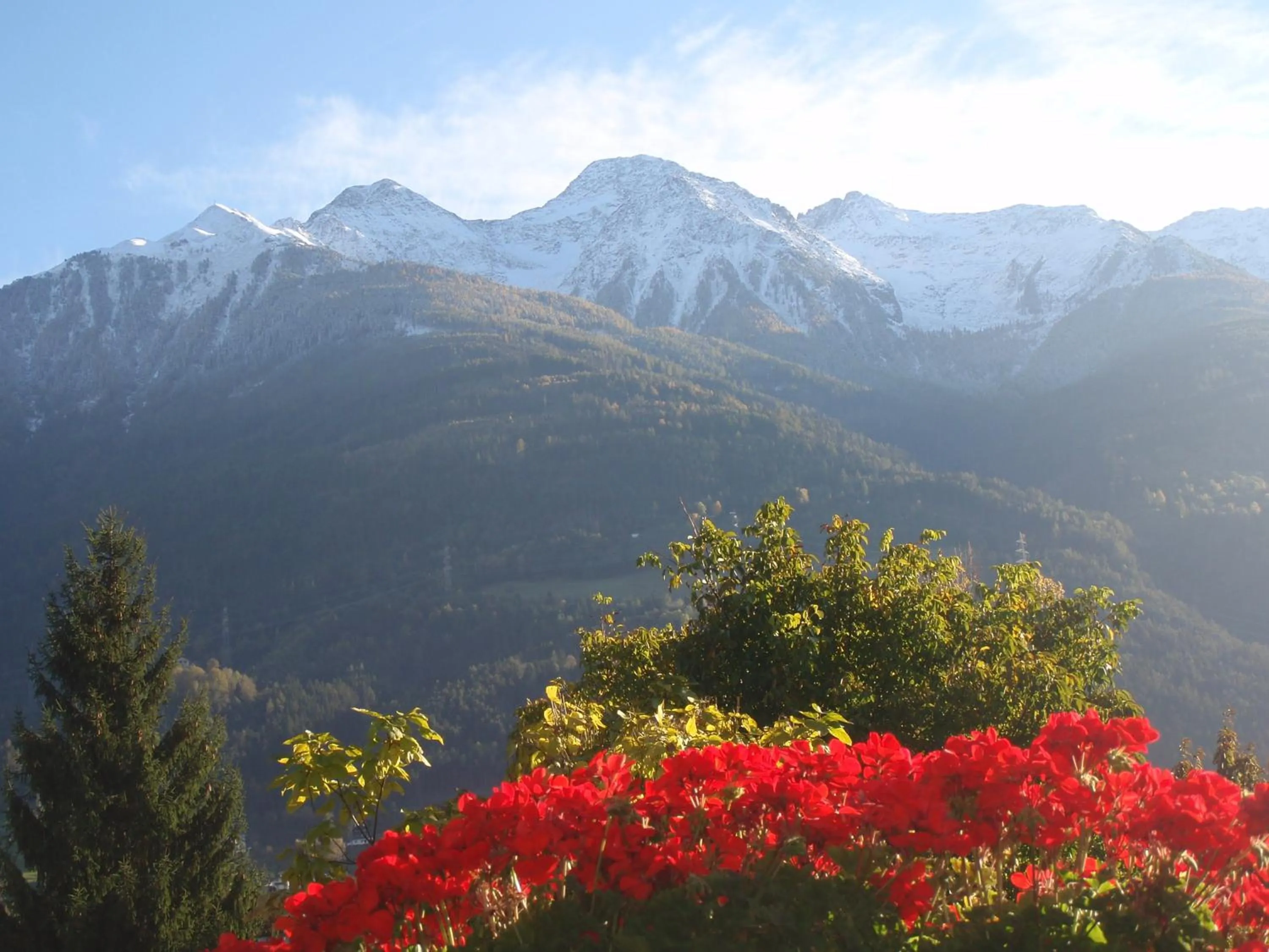 View (from property/room) in Telfer Stubm