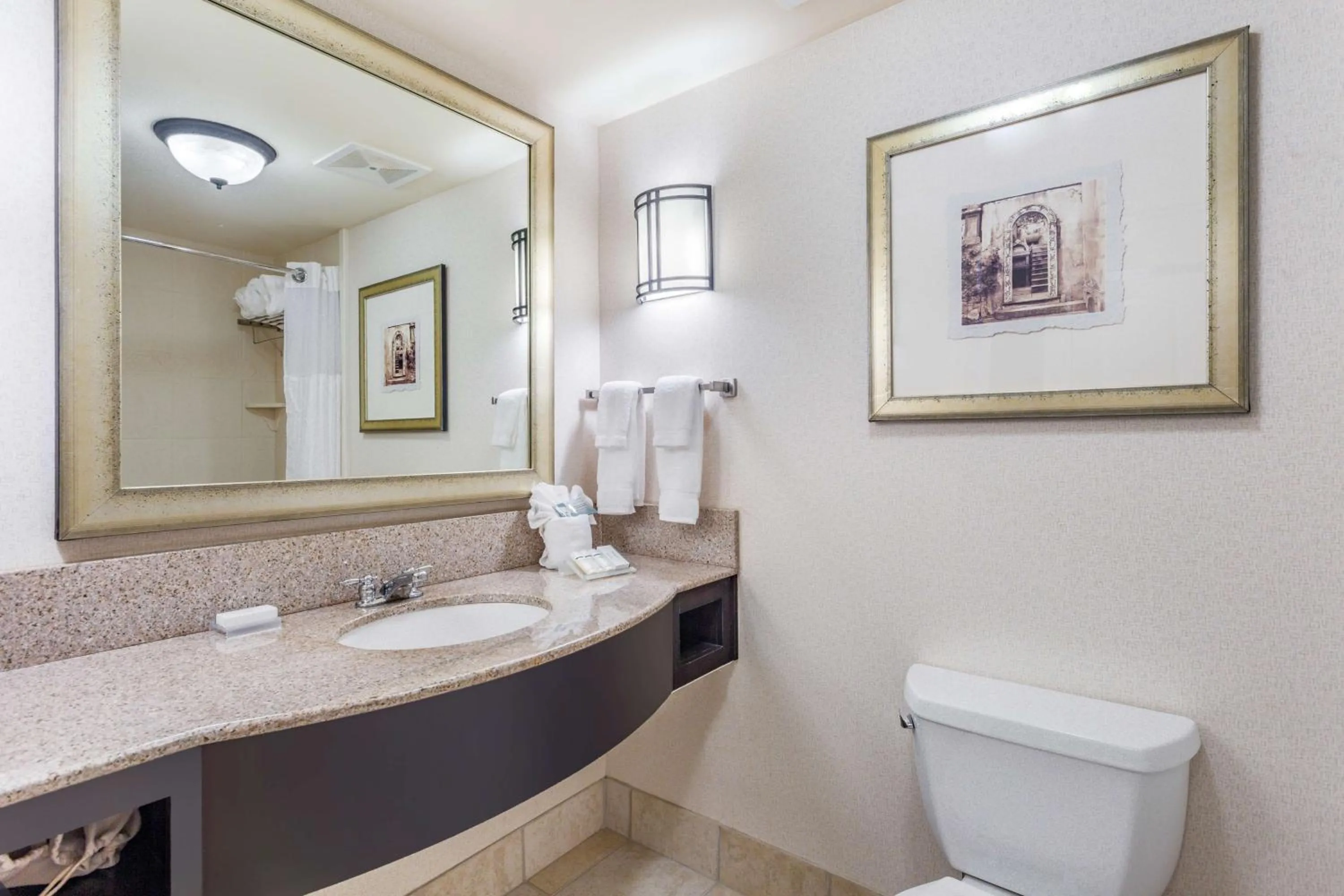 Bathroom in Hilton Garden Inn Gainesville