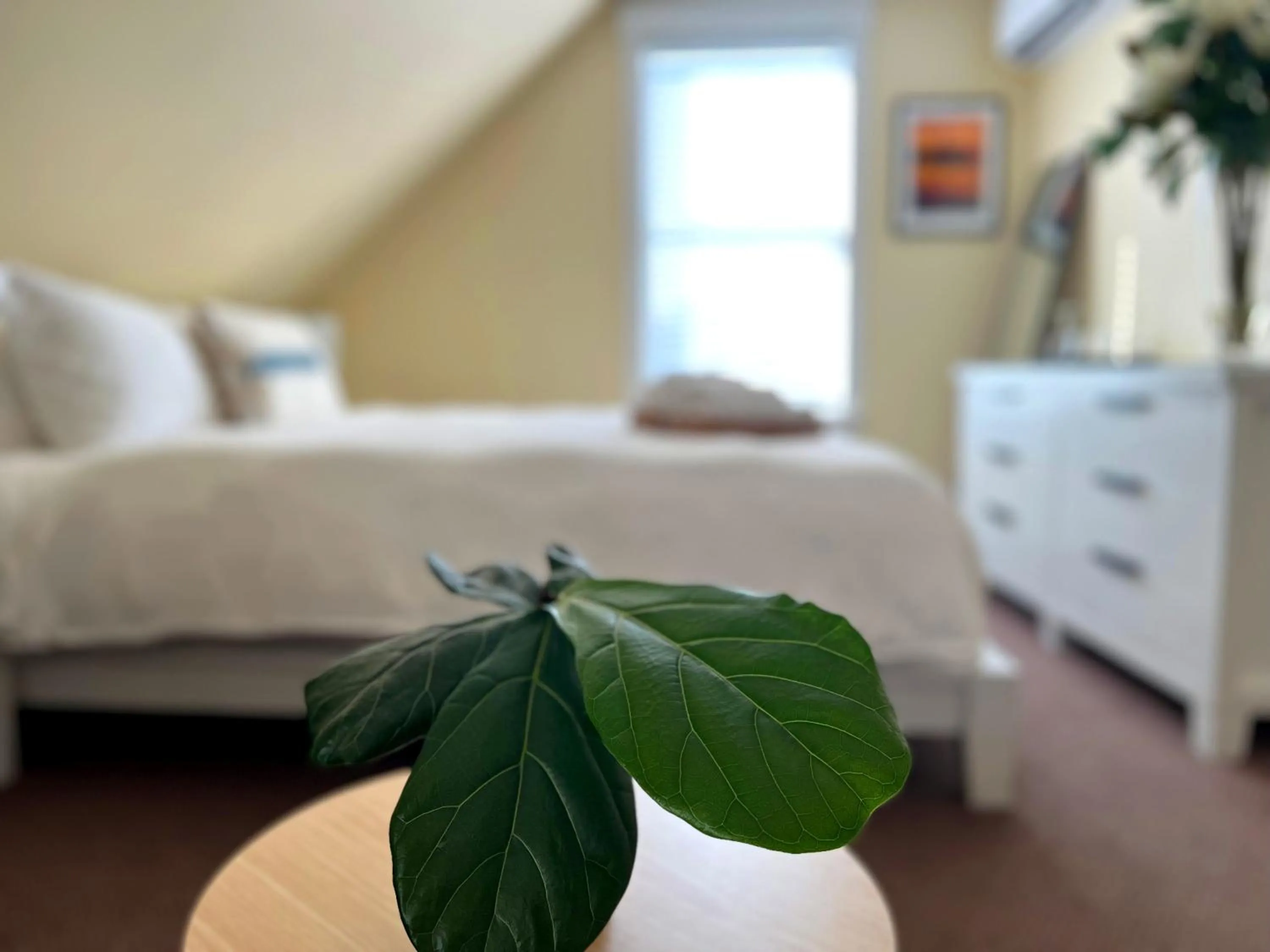 Bed in Lotus Provincetown