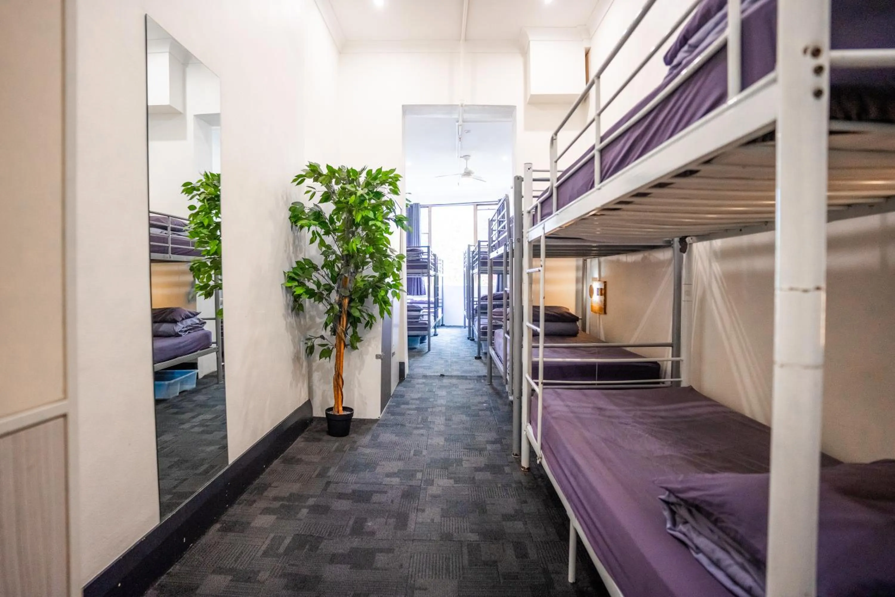 Photo of the whole room, Bed in Mad Monkey East Side