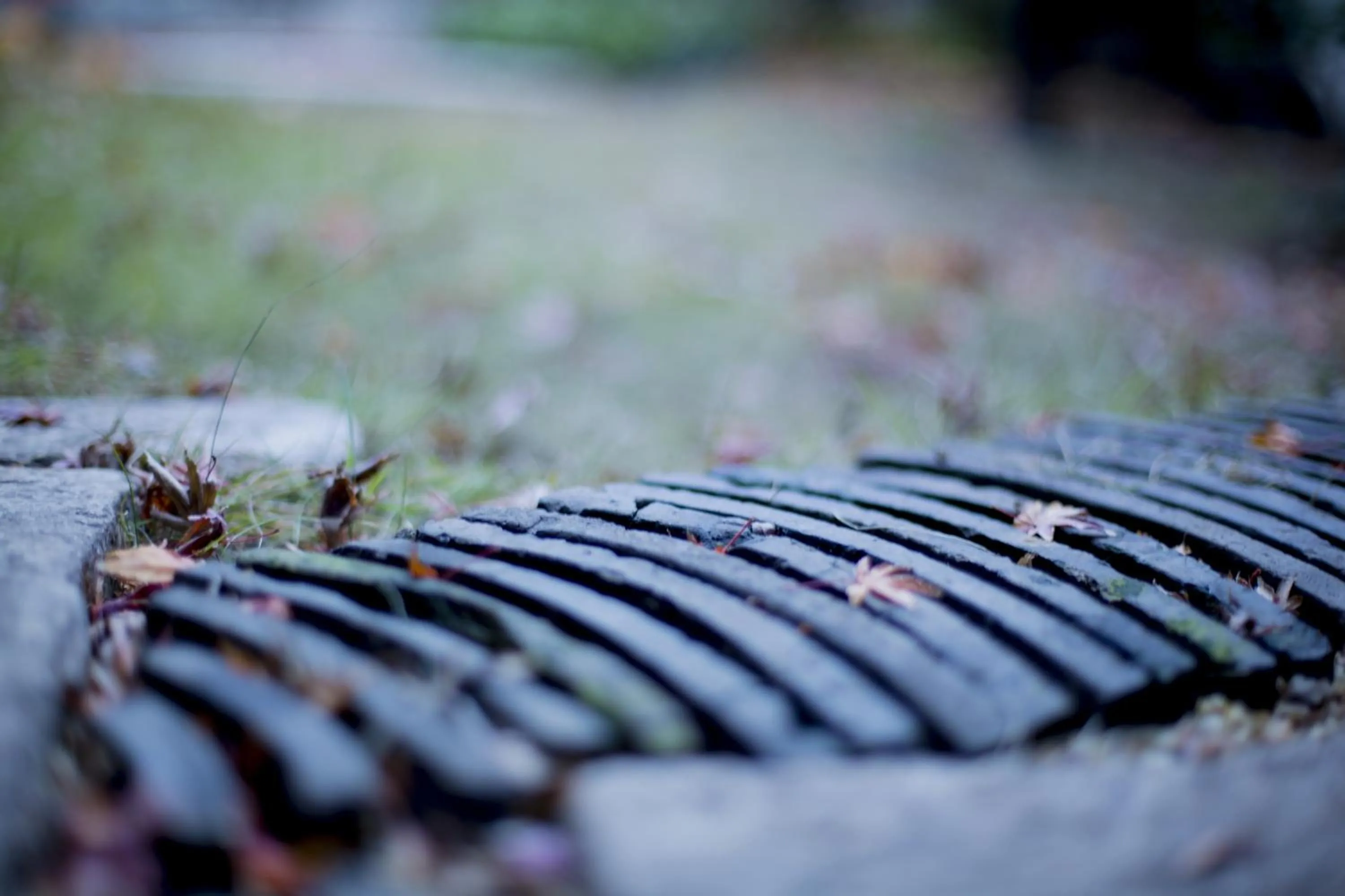 Garden in Shirafuji-an